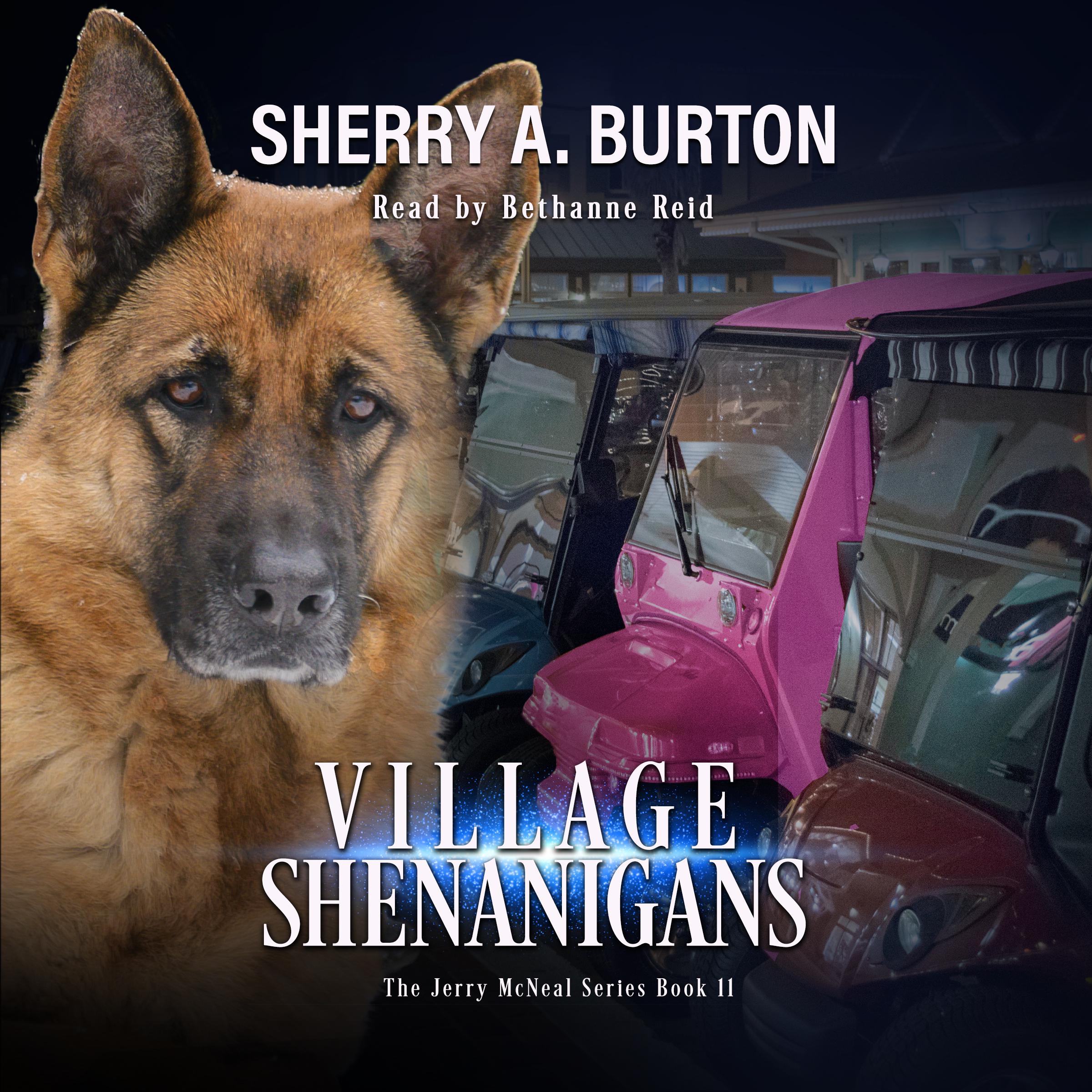 Village Shenanigans