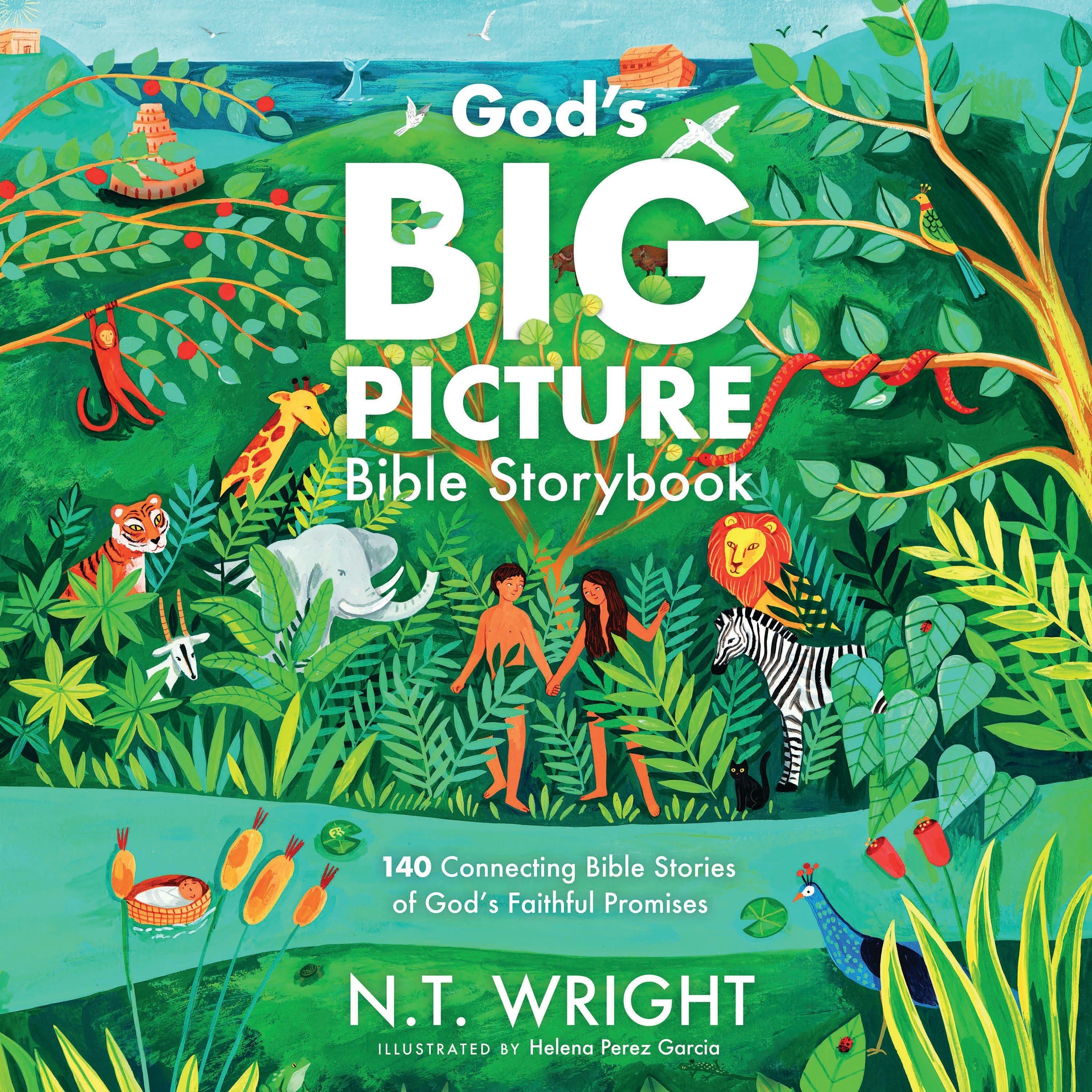 God's Big Picture Bible Storybook