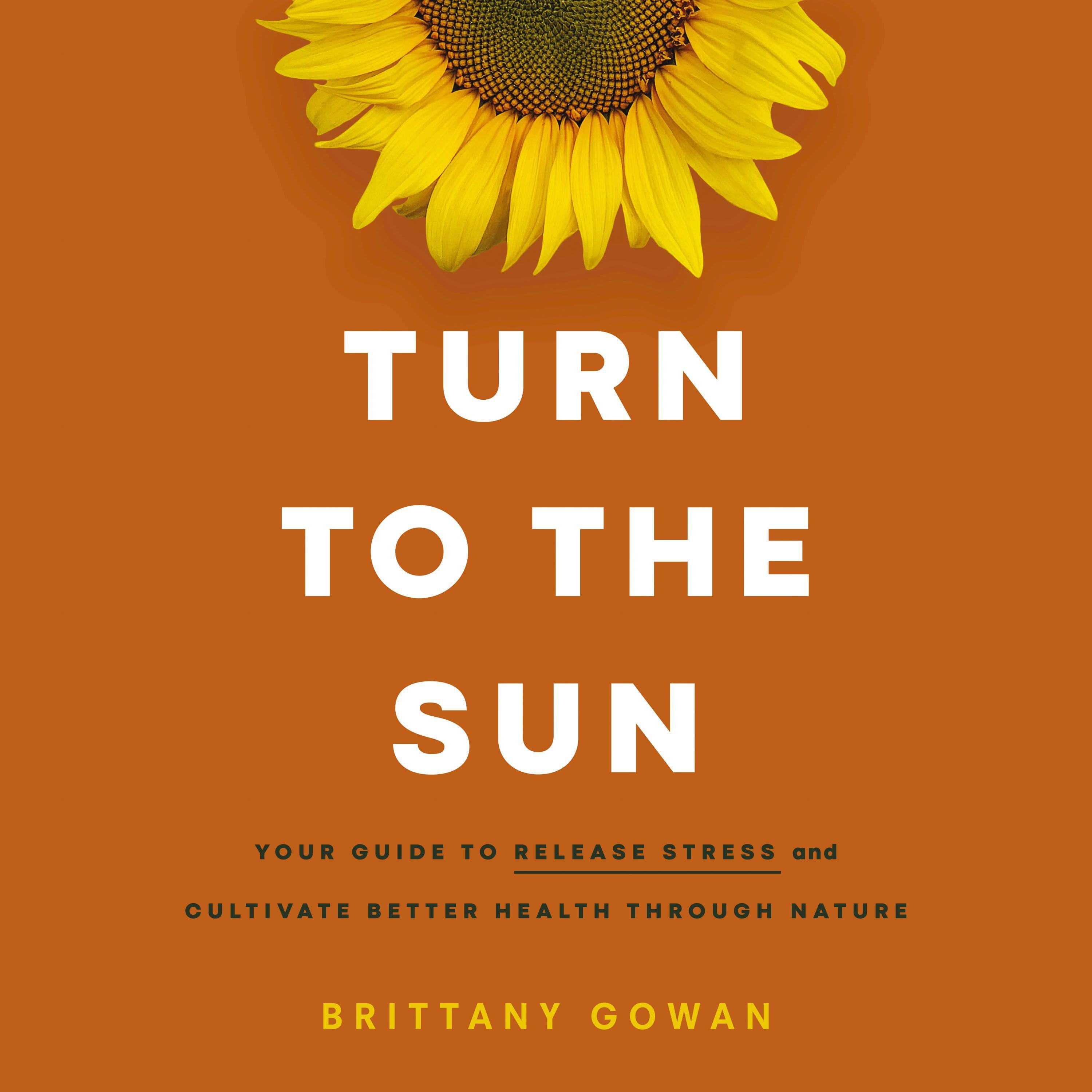 Turn to the Sun