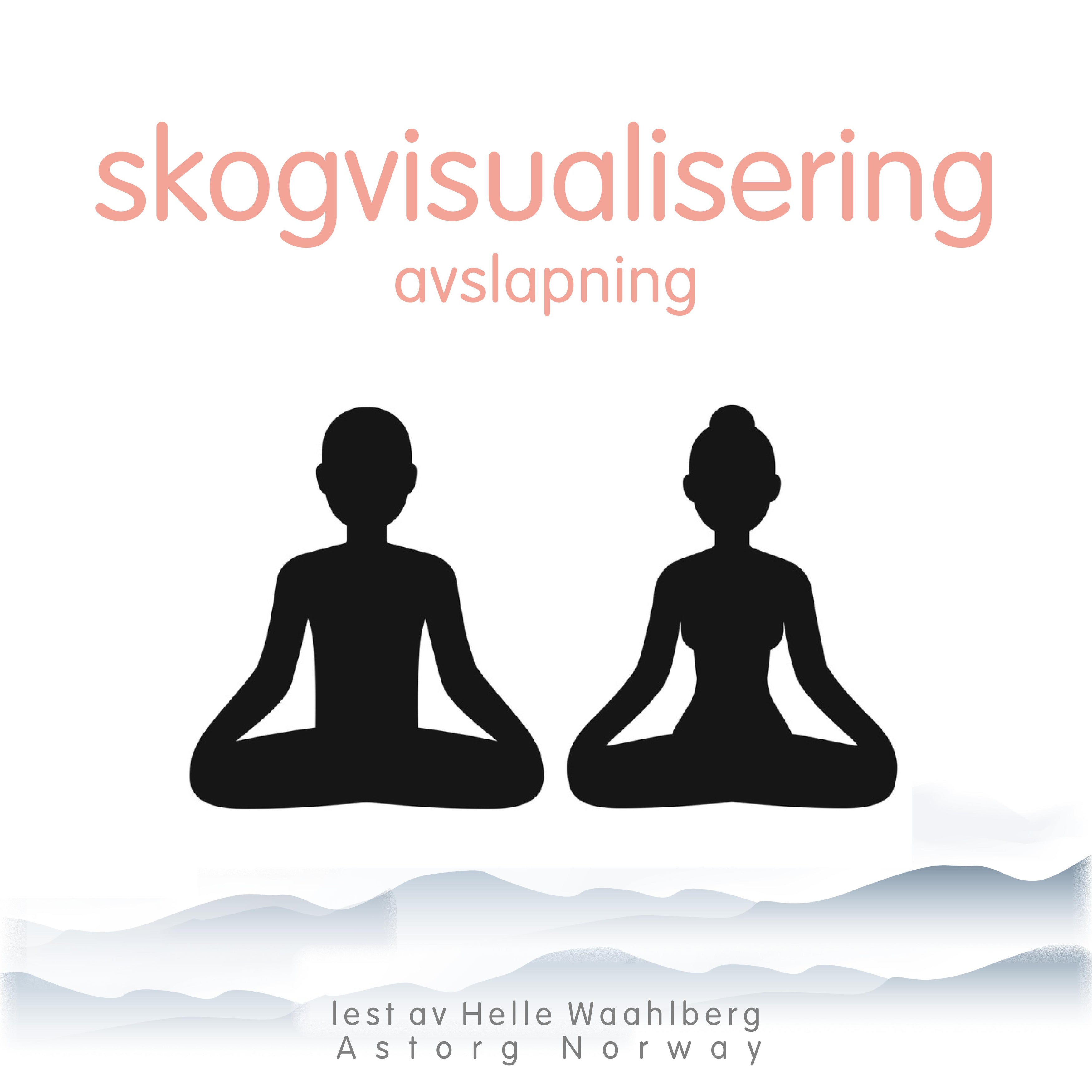 skogvisualisering avslapning