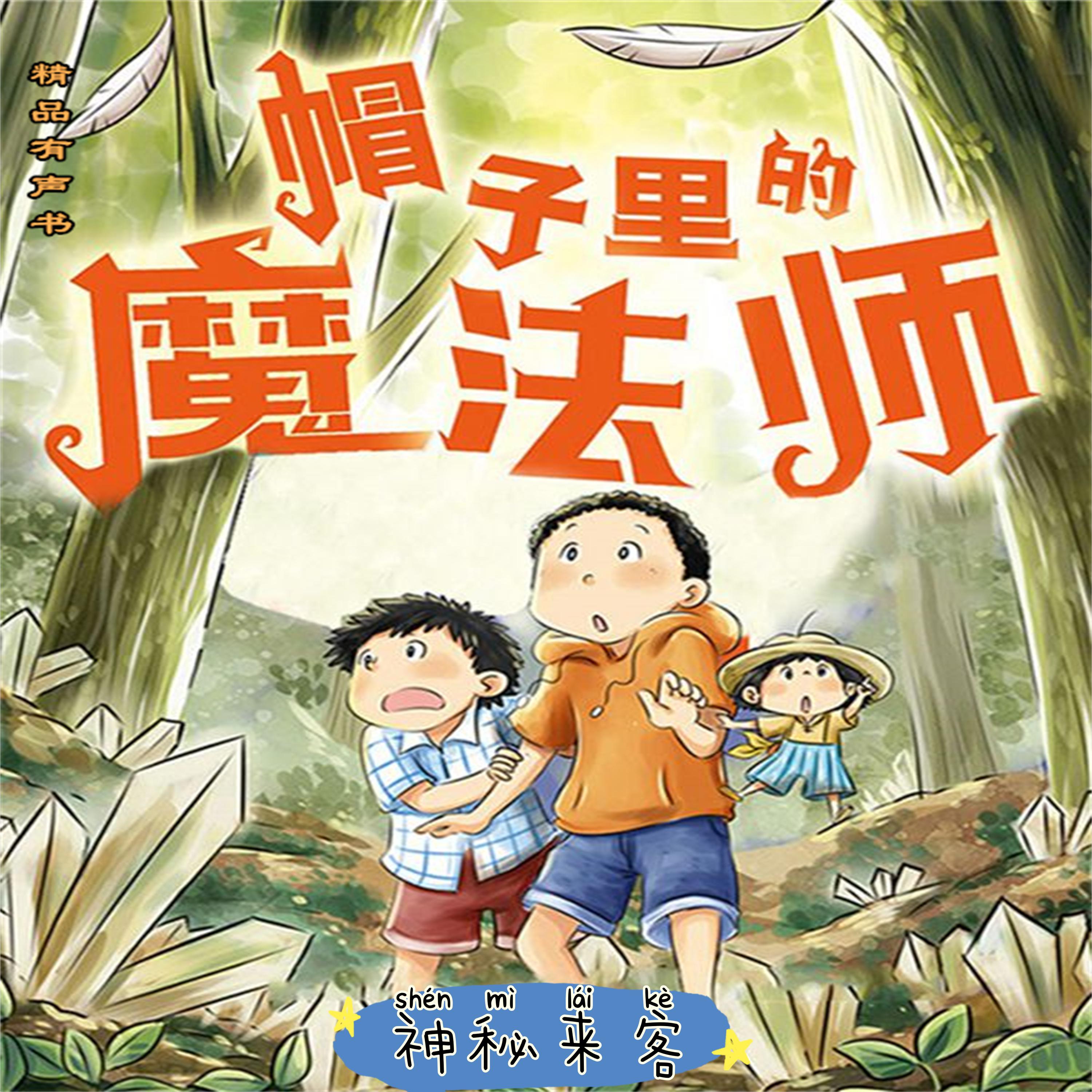 帽子里的魔法师1:神秘来客