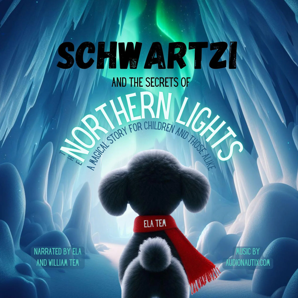Schwartzi and the Secrets of the Northern Lights