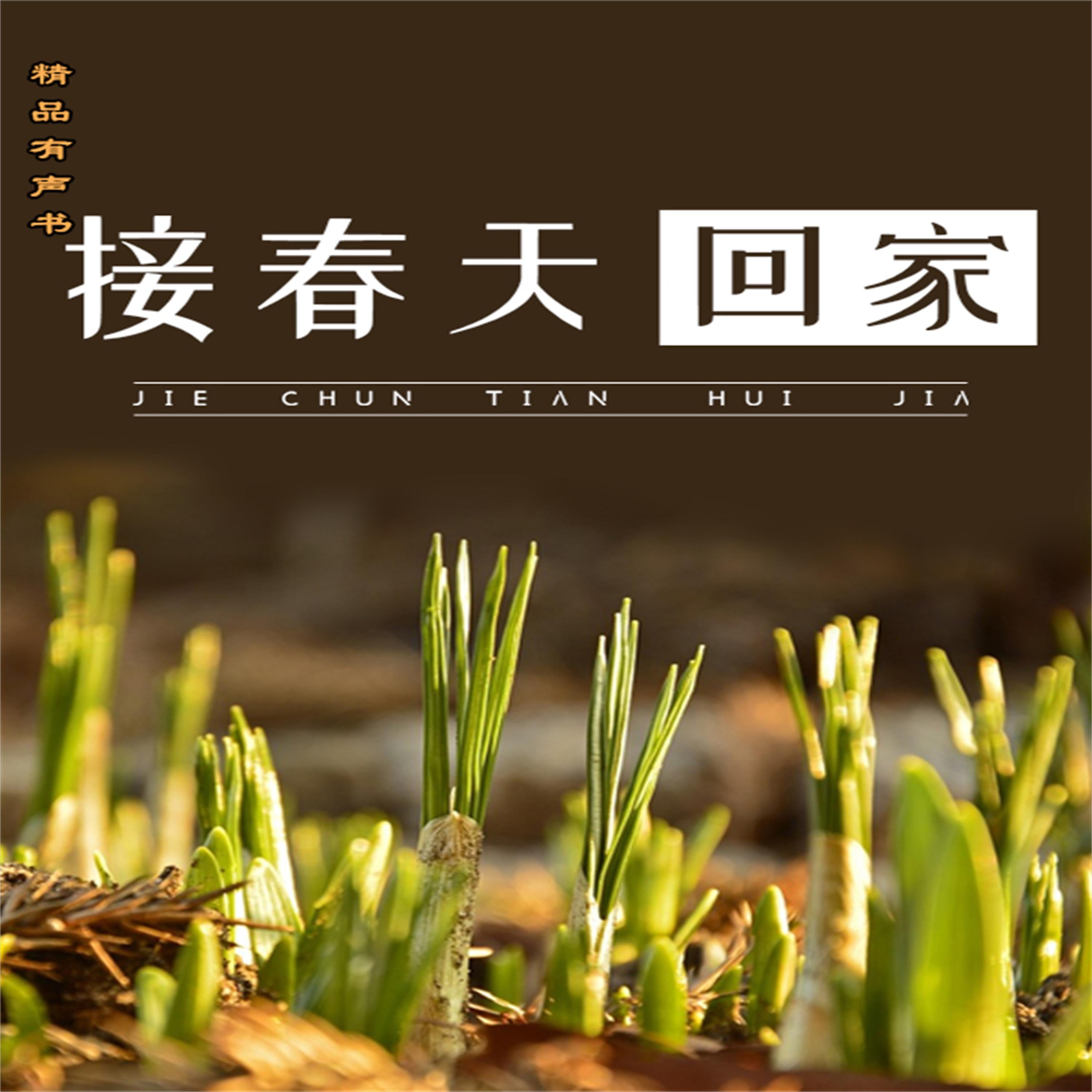 接春天回家