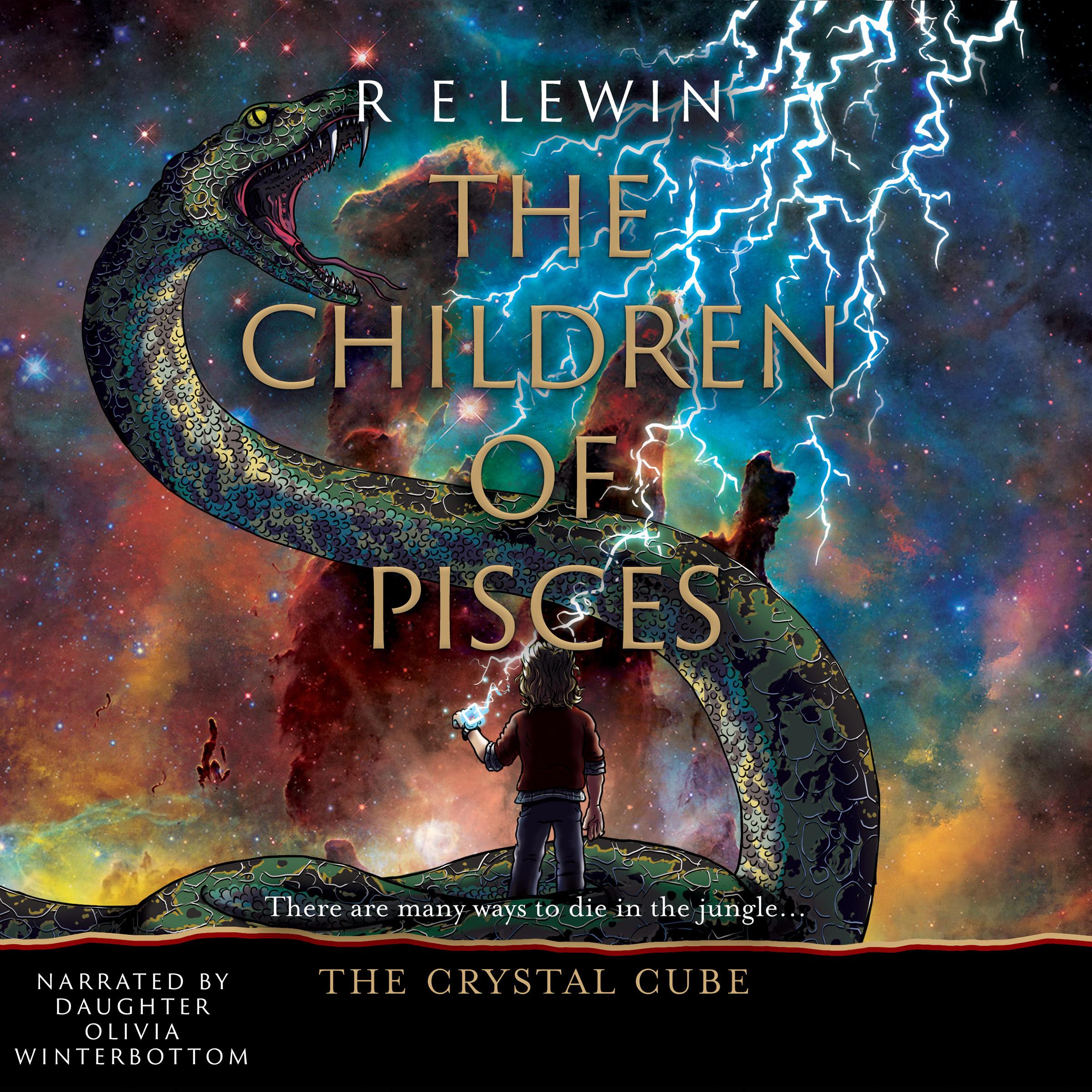 The Crystal Cube - Book 3