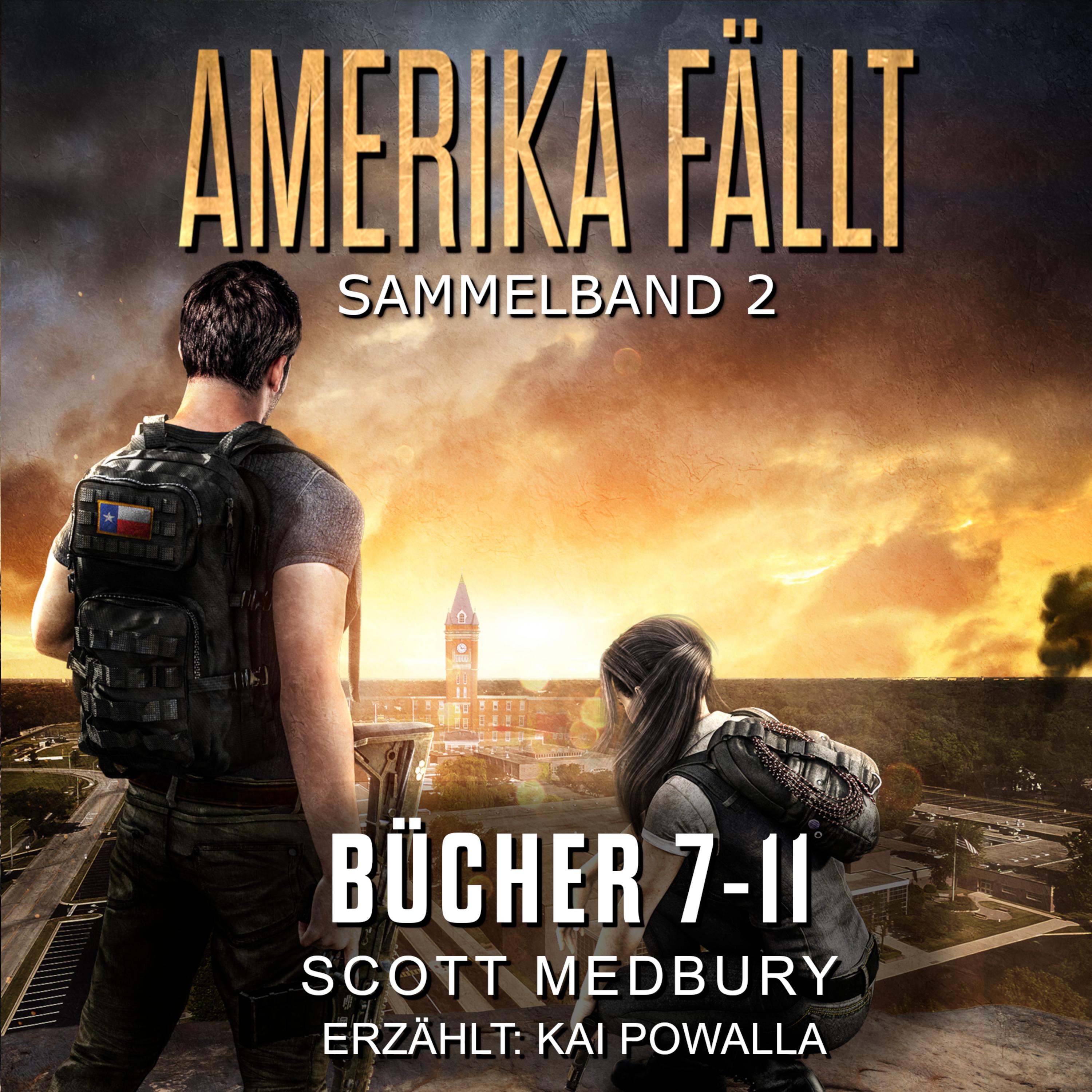 Amerika fällt: Sammelband Bücher 7-11