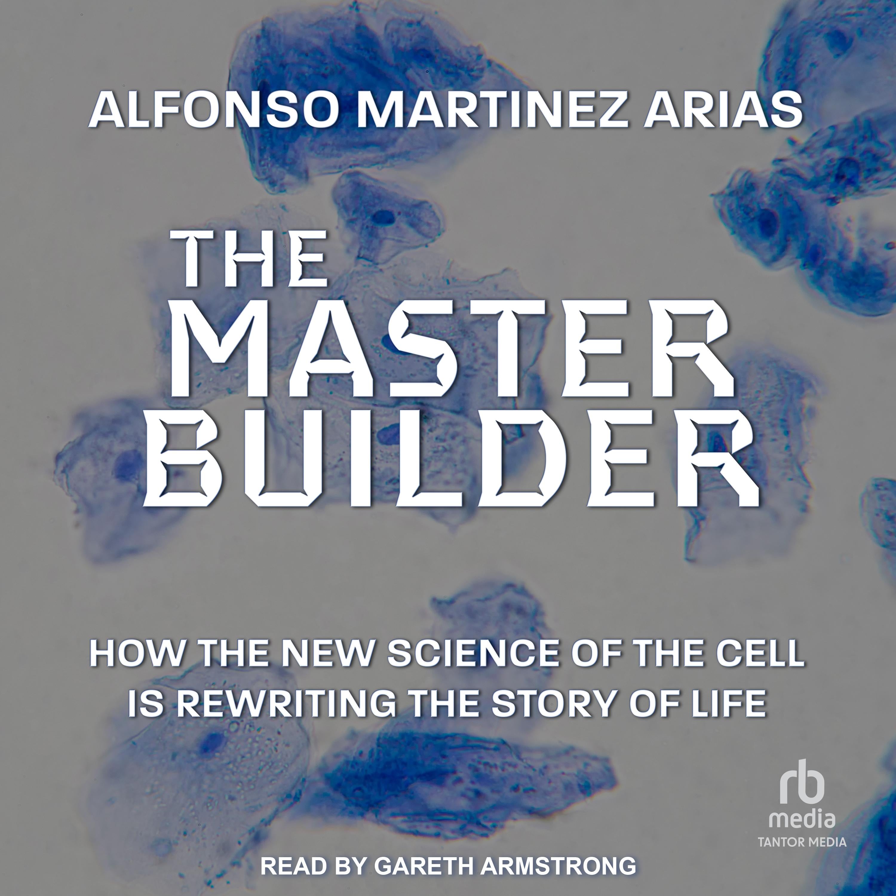 The Master Builder