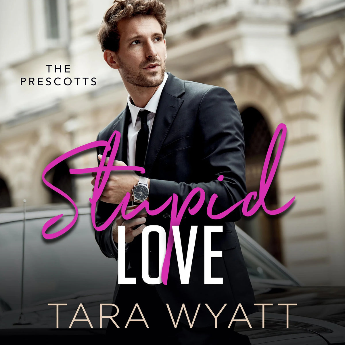 Stupid Love