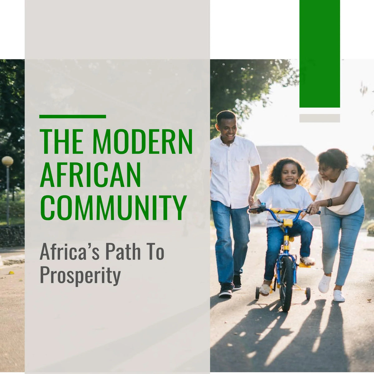 The Modern African Community