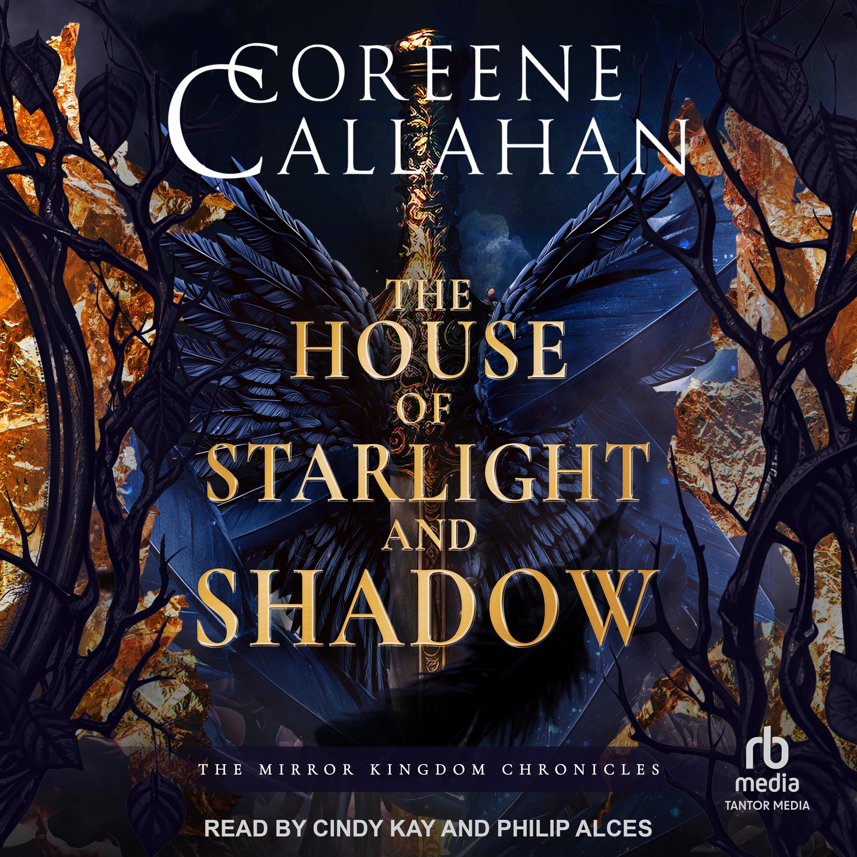 The House of Starlight and Shadow