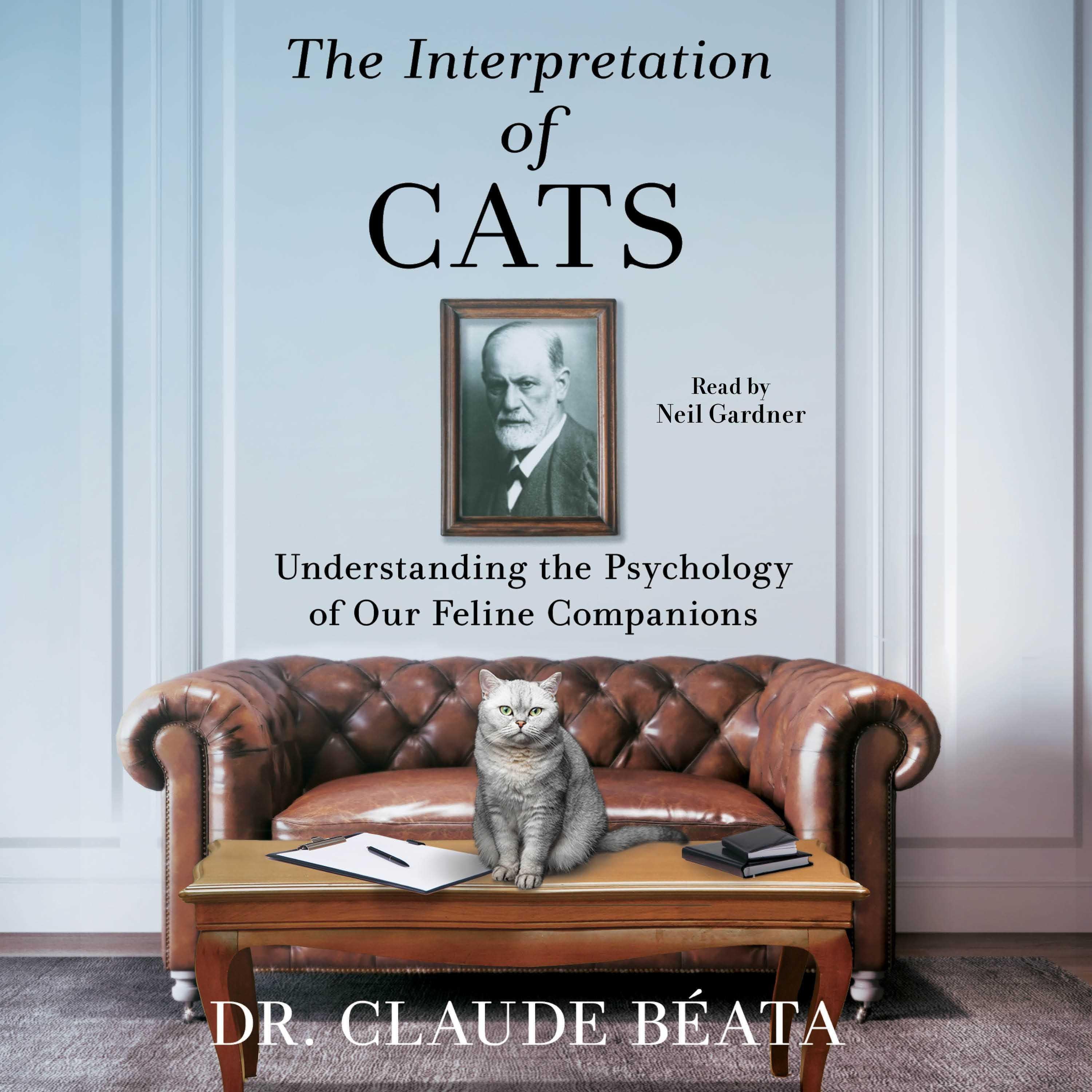 Interpretation of Cats