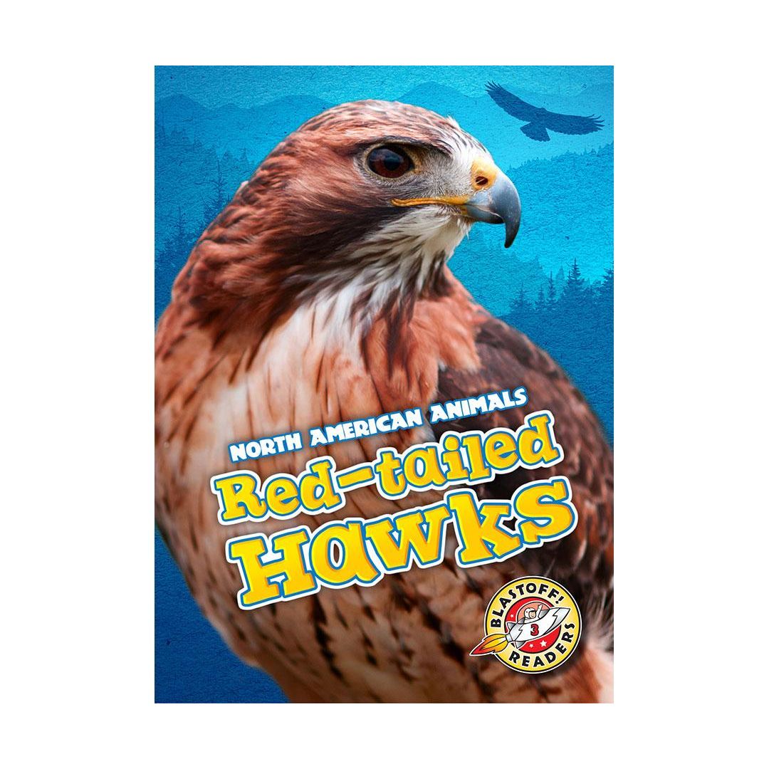 Red-tailed Hawks