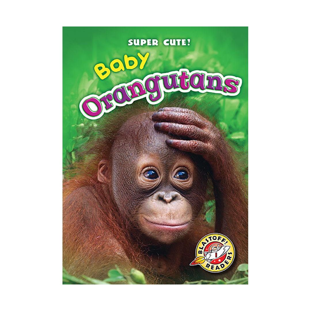 Baby Orangutans