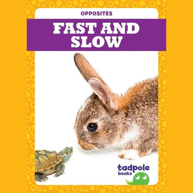 Fast and Slow