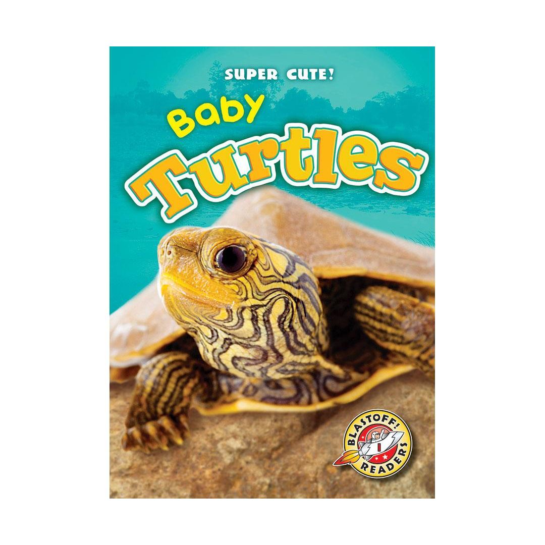 Baby Turtles