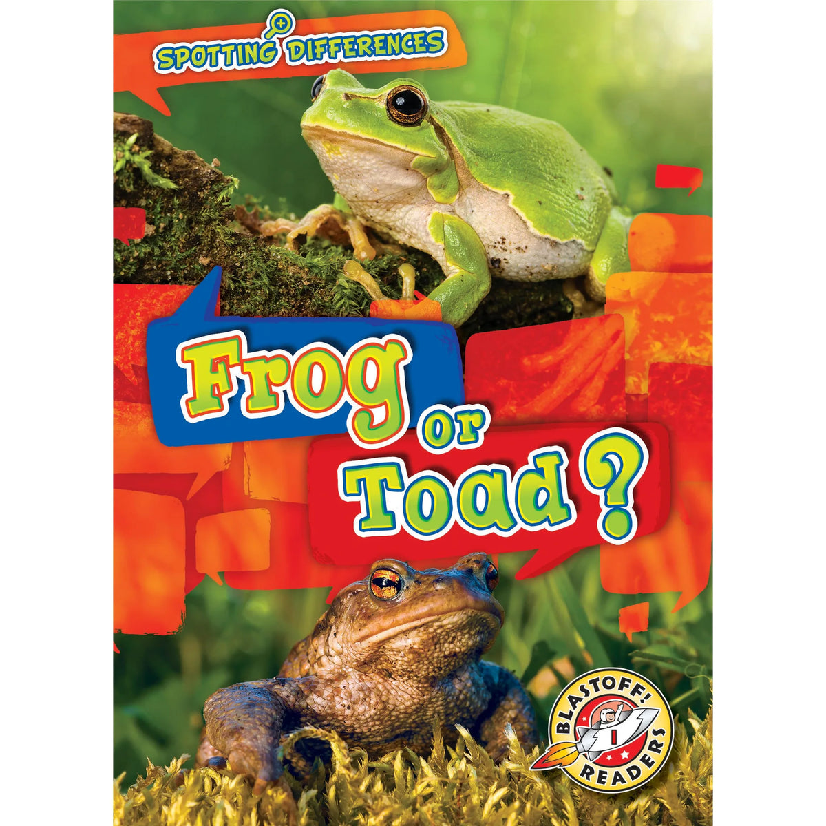 Frog or Toad?