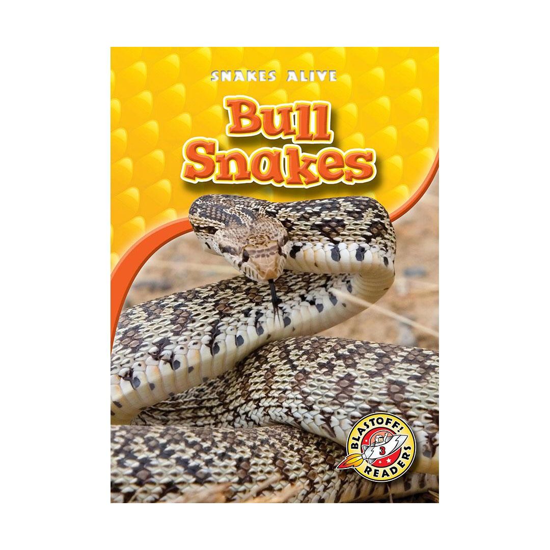 Bull Snakes