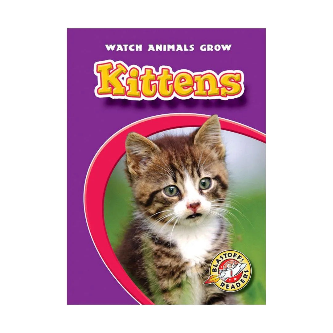 Kittens