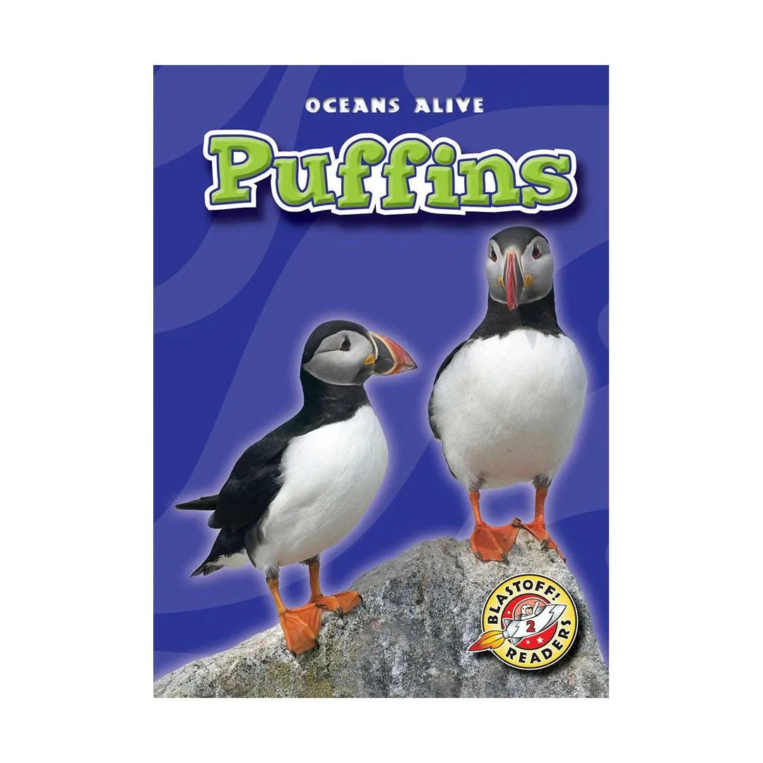 Puffins