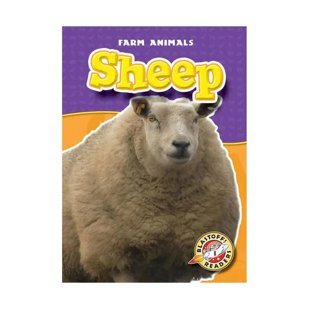 Sheep