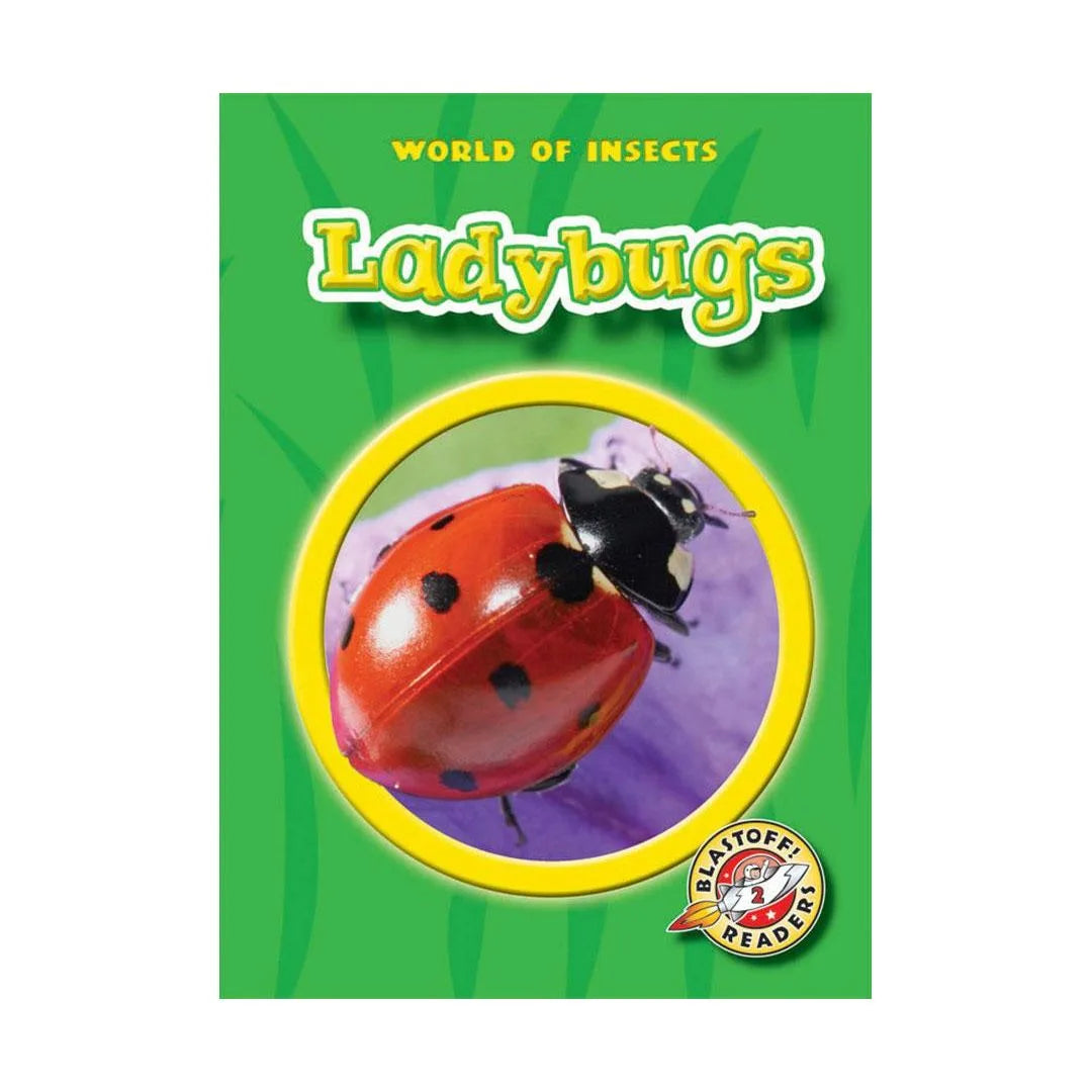 Ladybugs