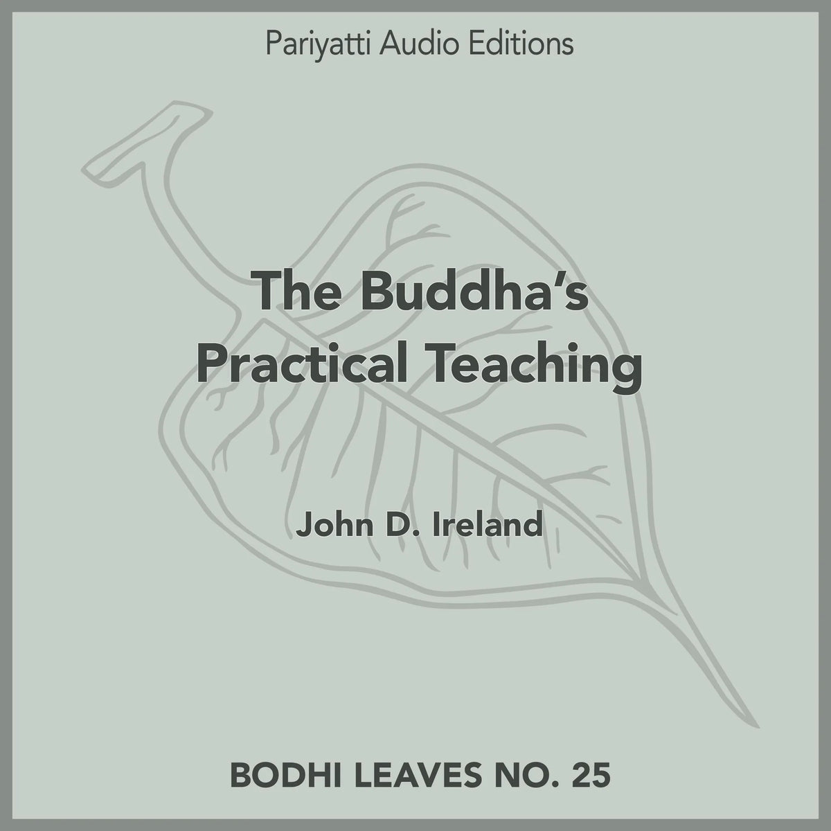 The Buddha’s Practical Teaching