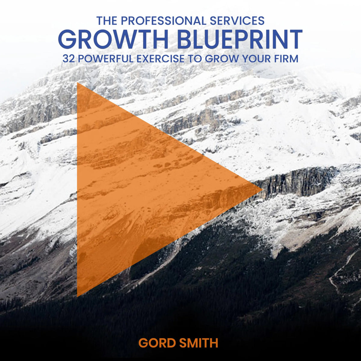 The Professional Services Growth Blueprint