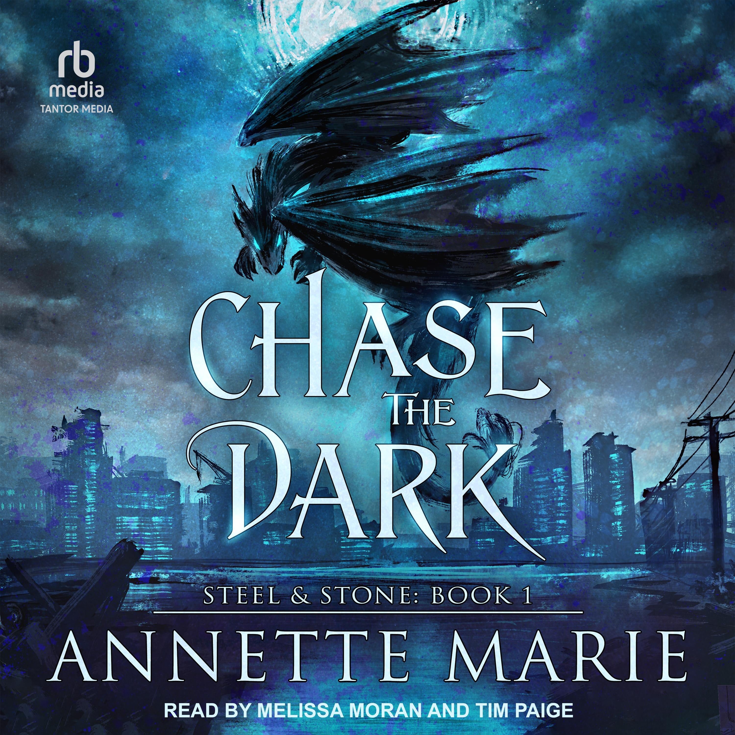 Chase the Dark