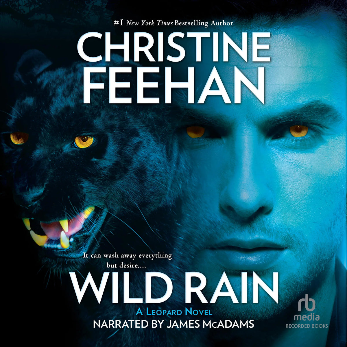 Wild Rain