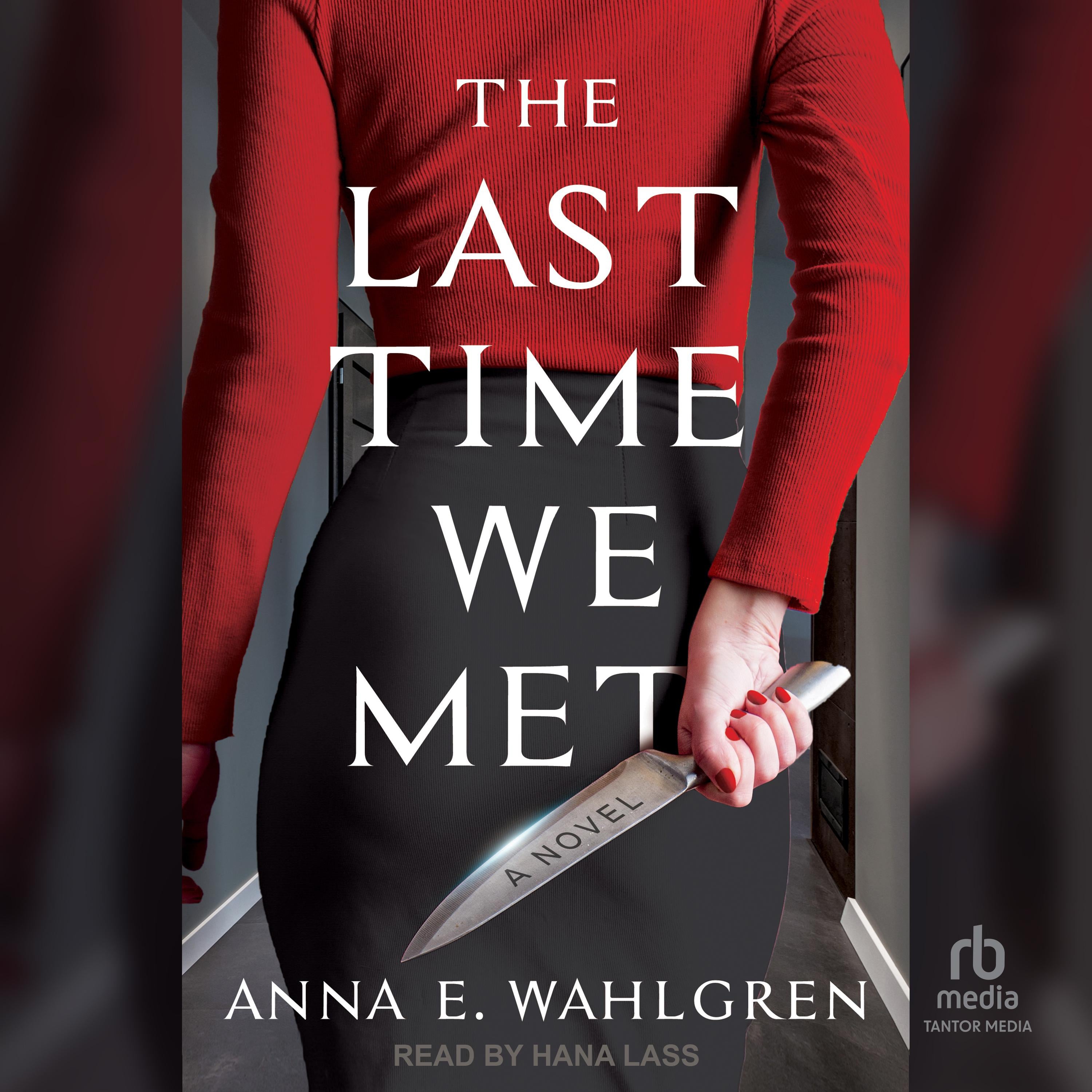 The Last Time We Met