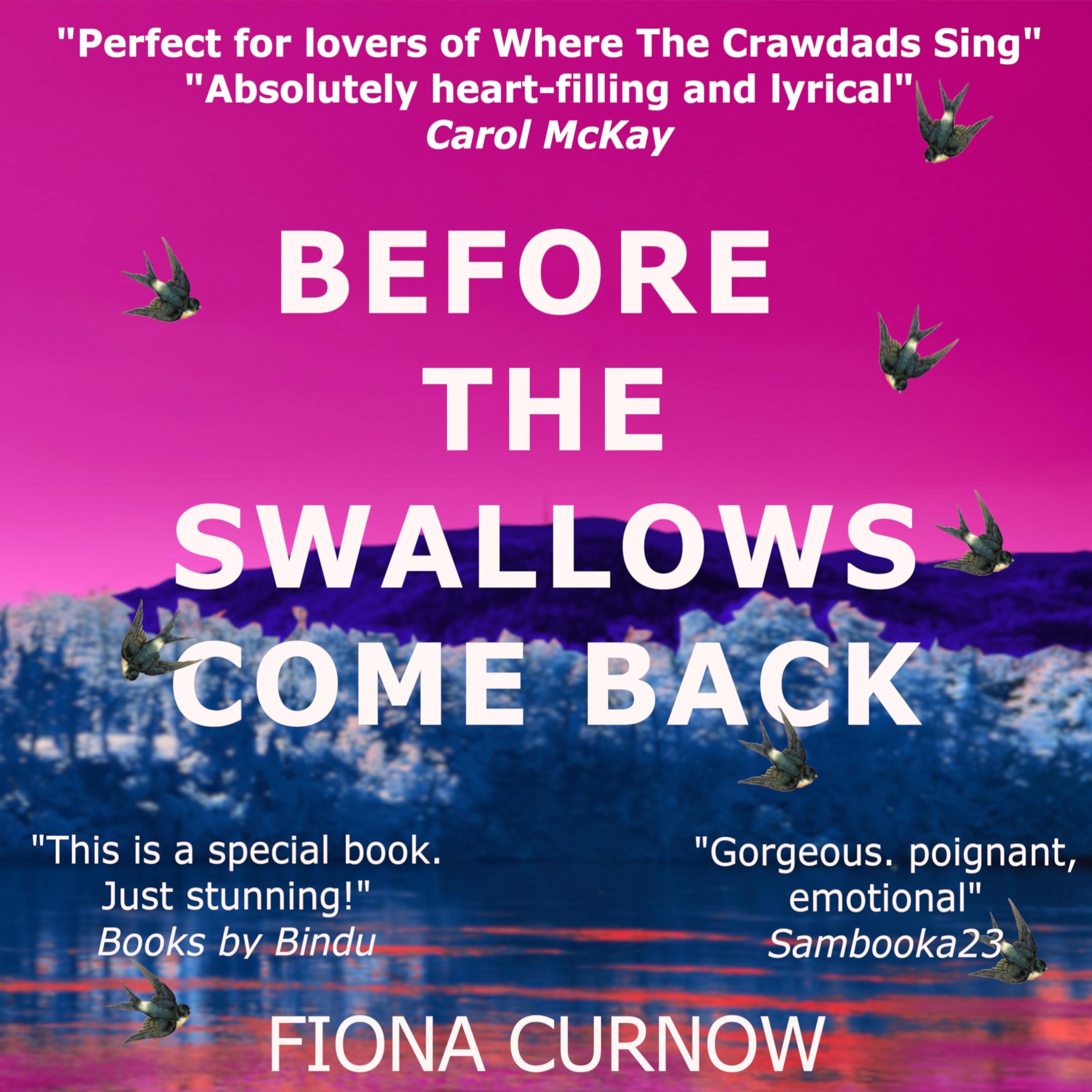 Before the Swallows Come Back