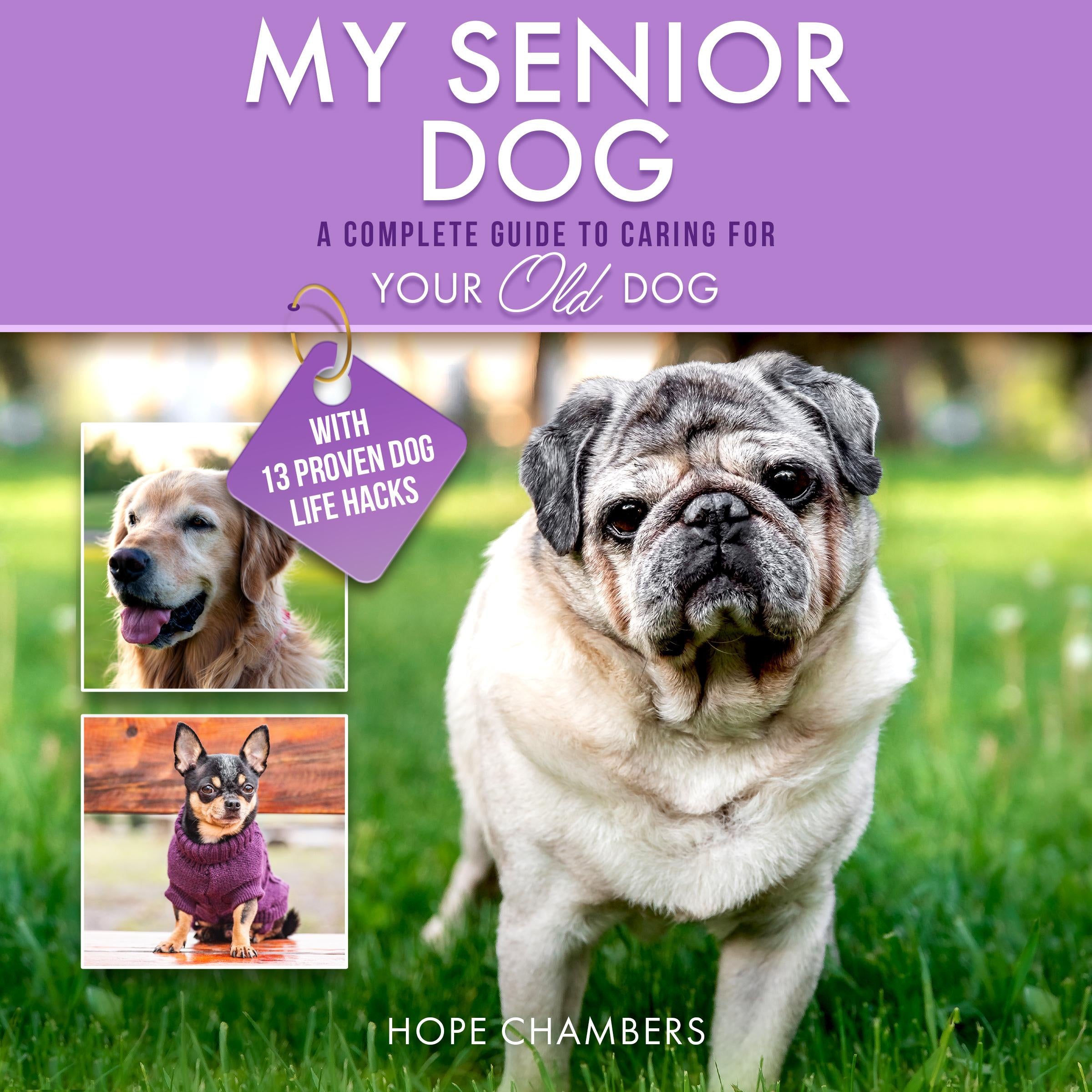 My Senior Dog