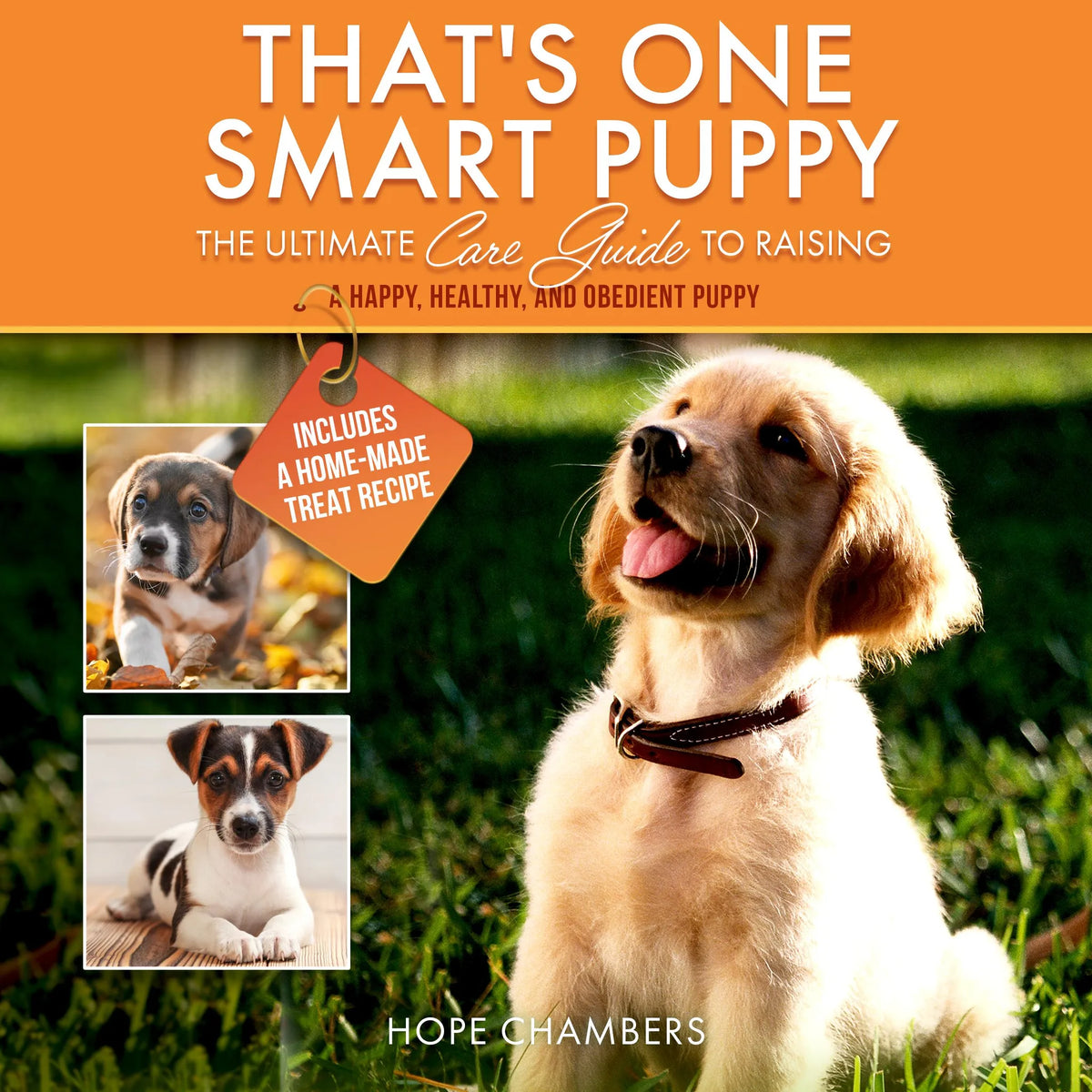 That's One Smart Puppy