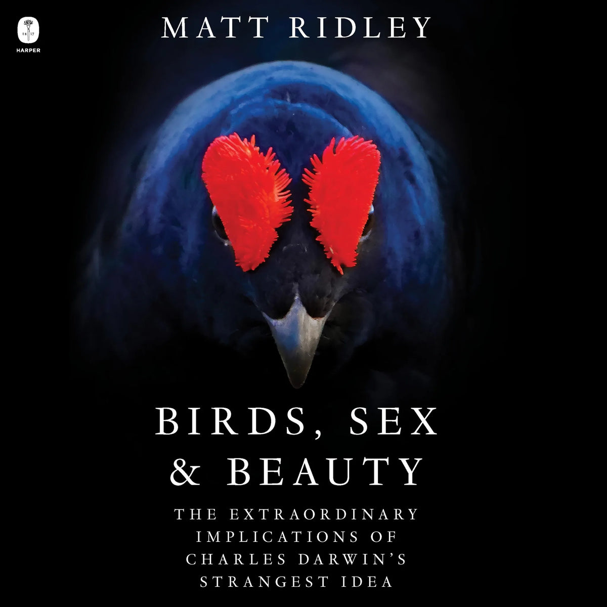 Birds, Sex & Beauty