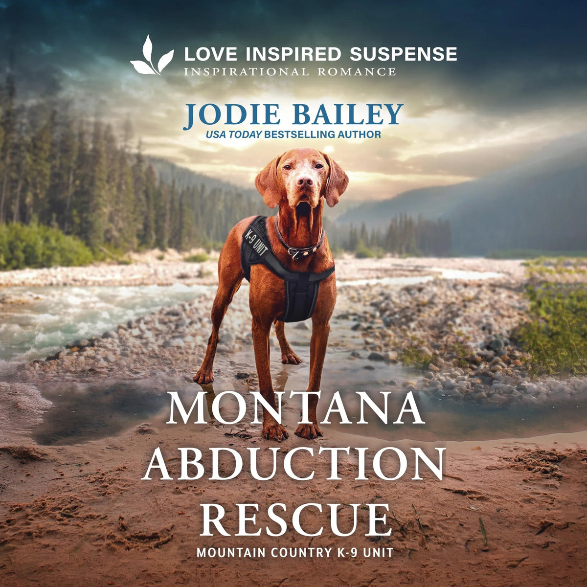 Montana Abduction Rescue