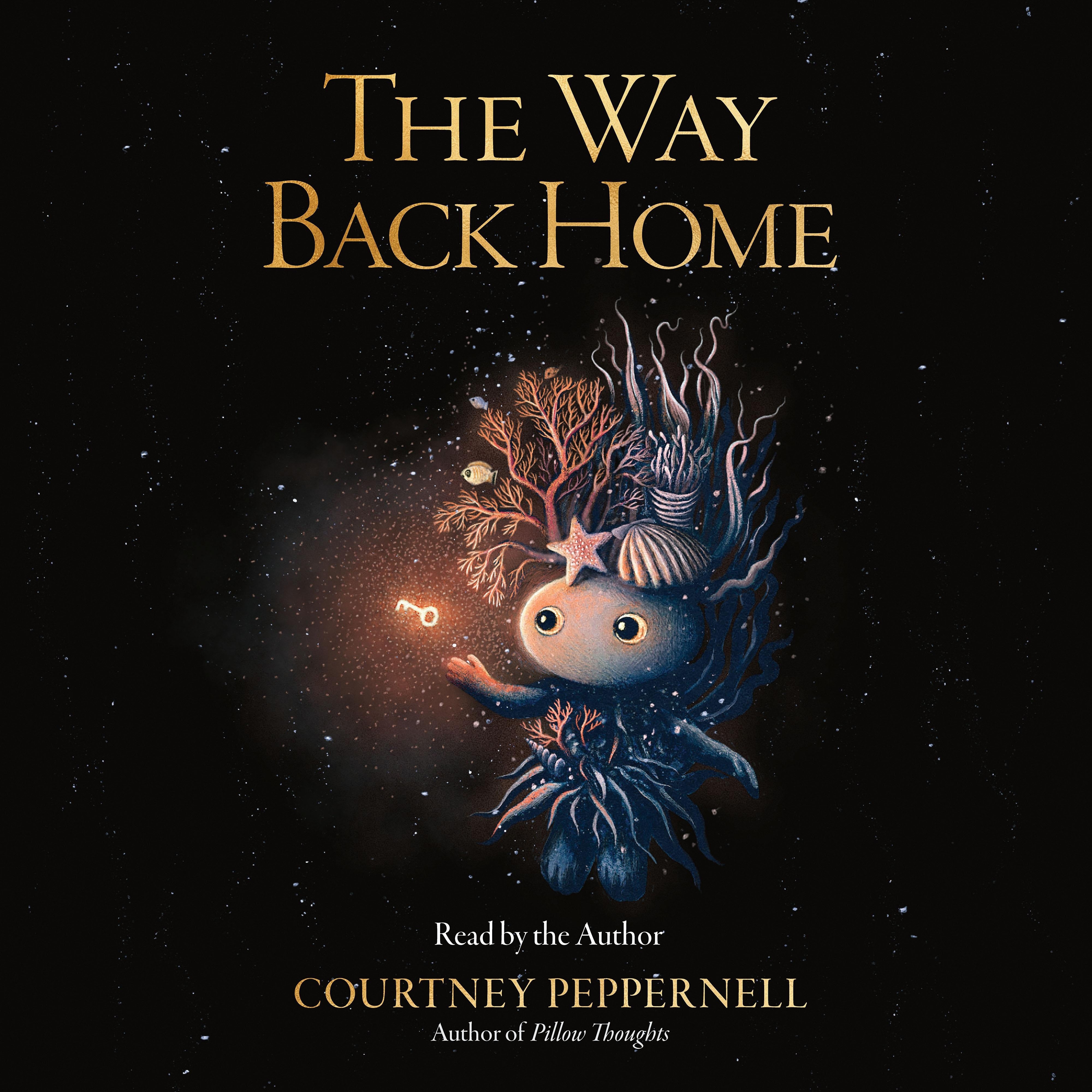 The Way Back Home