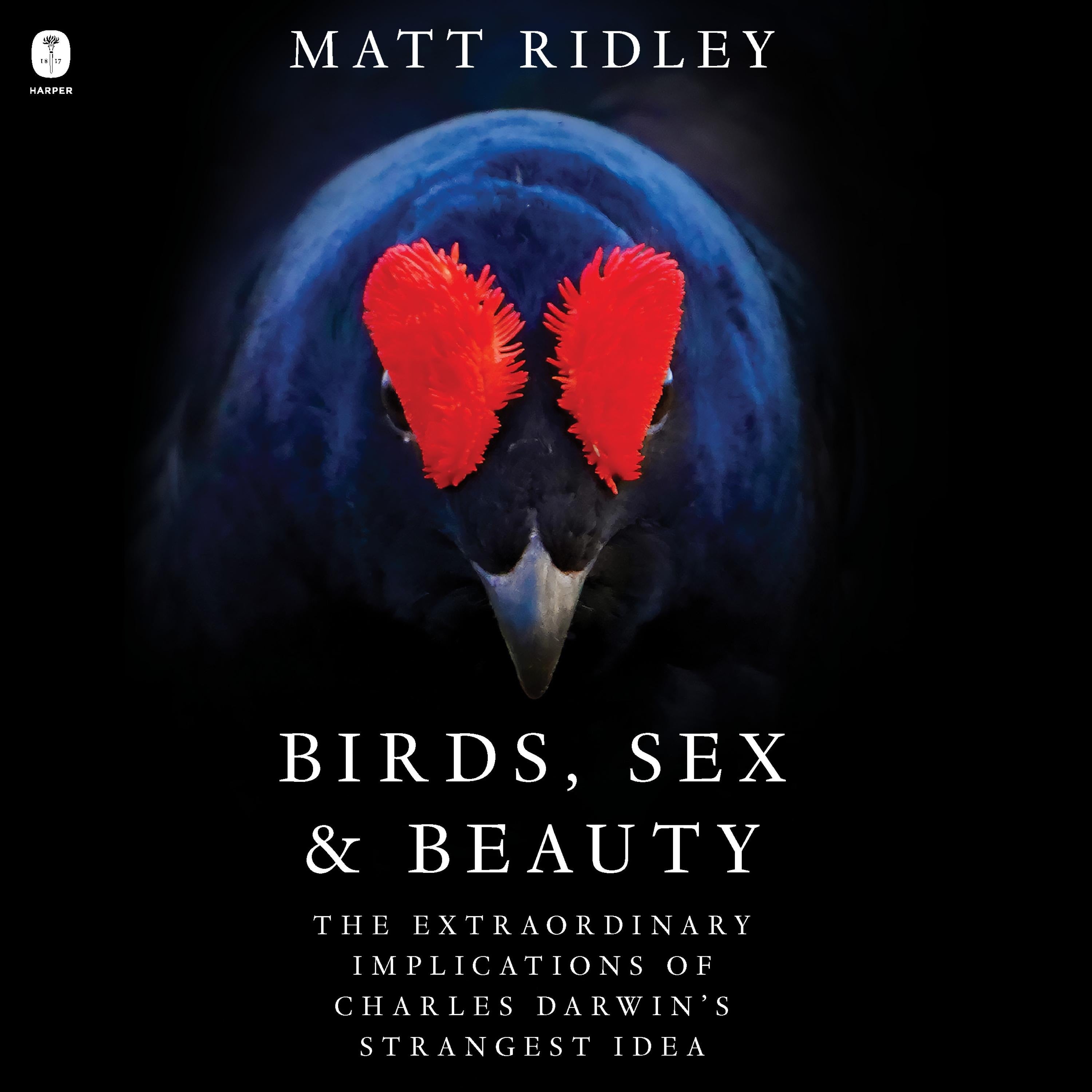 Birds, Sex and Beauty