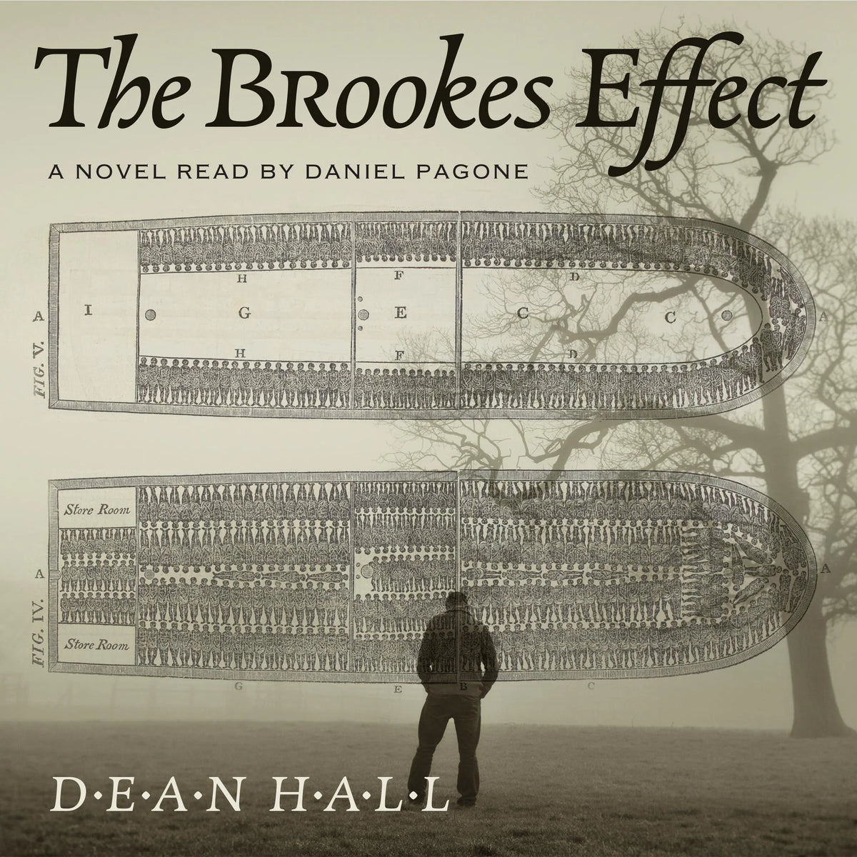 The Brookes Effect