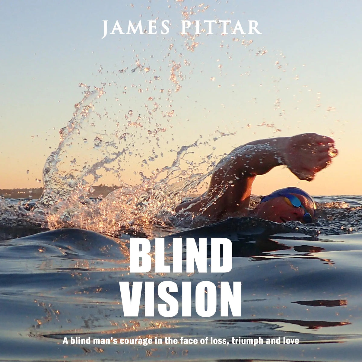 Blind Vision