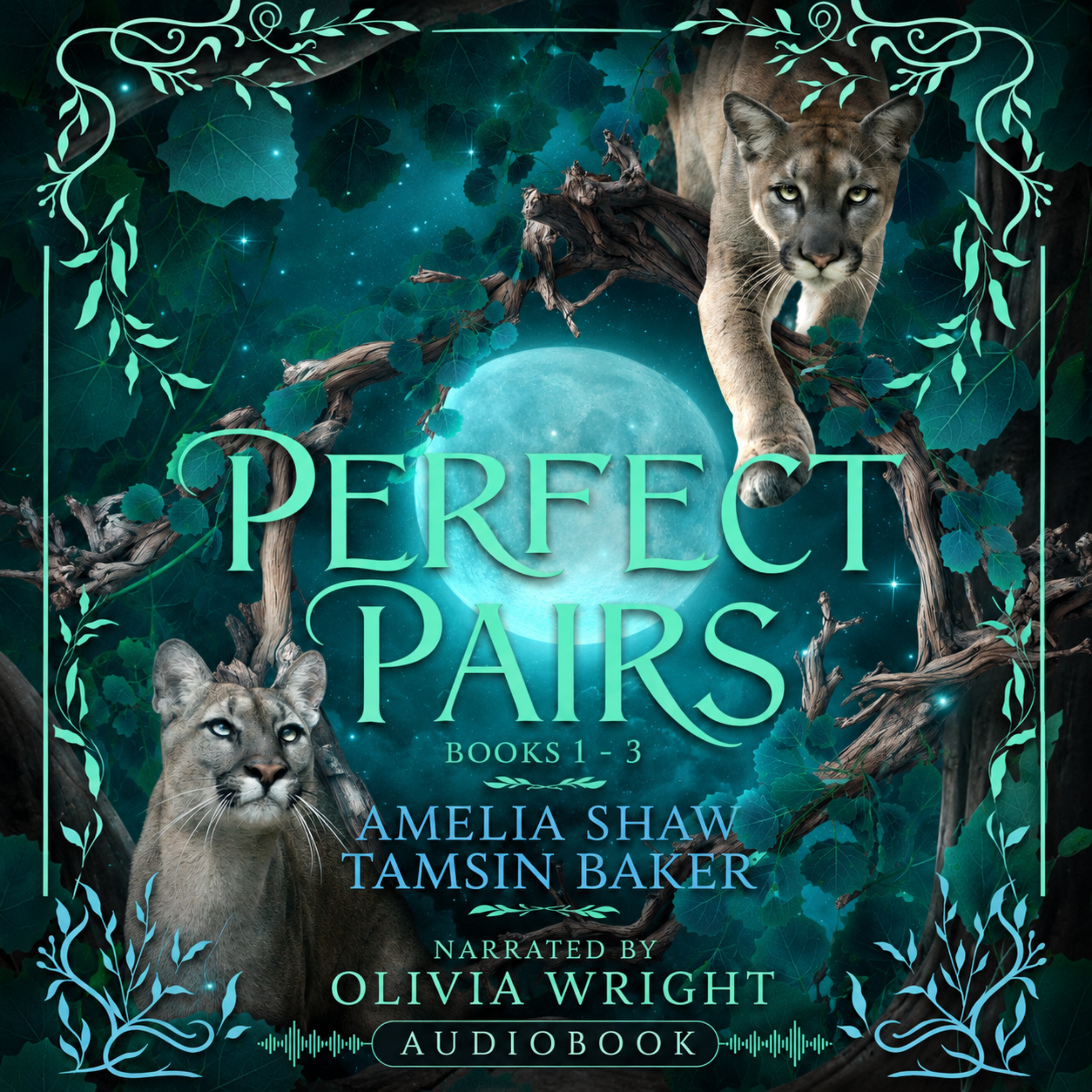 Perfect Pairs: Books 1-3