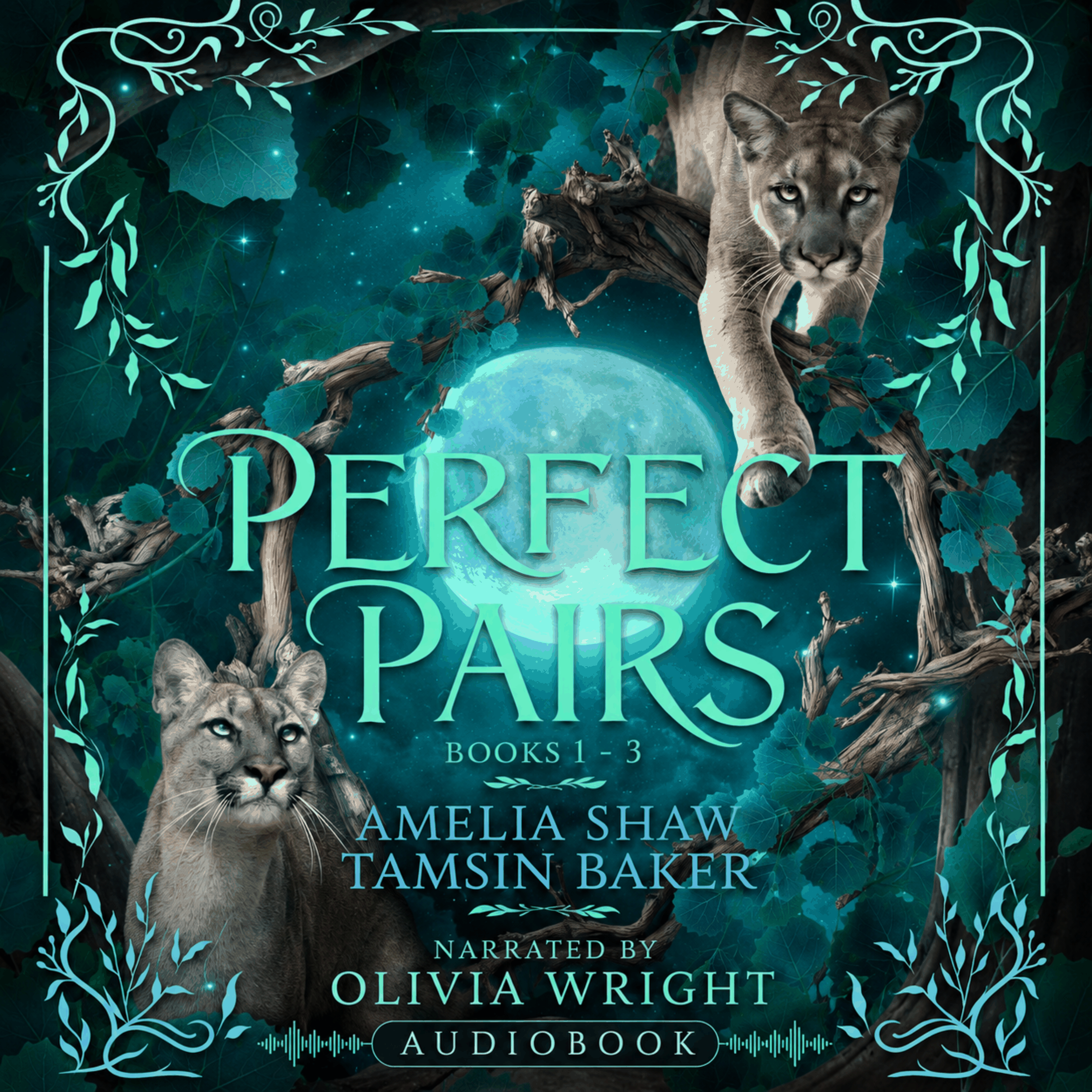 Perfect Pairs: Books 1-3