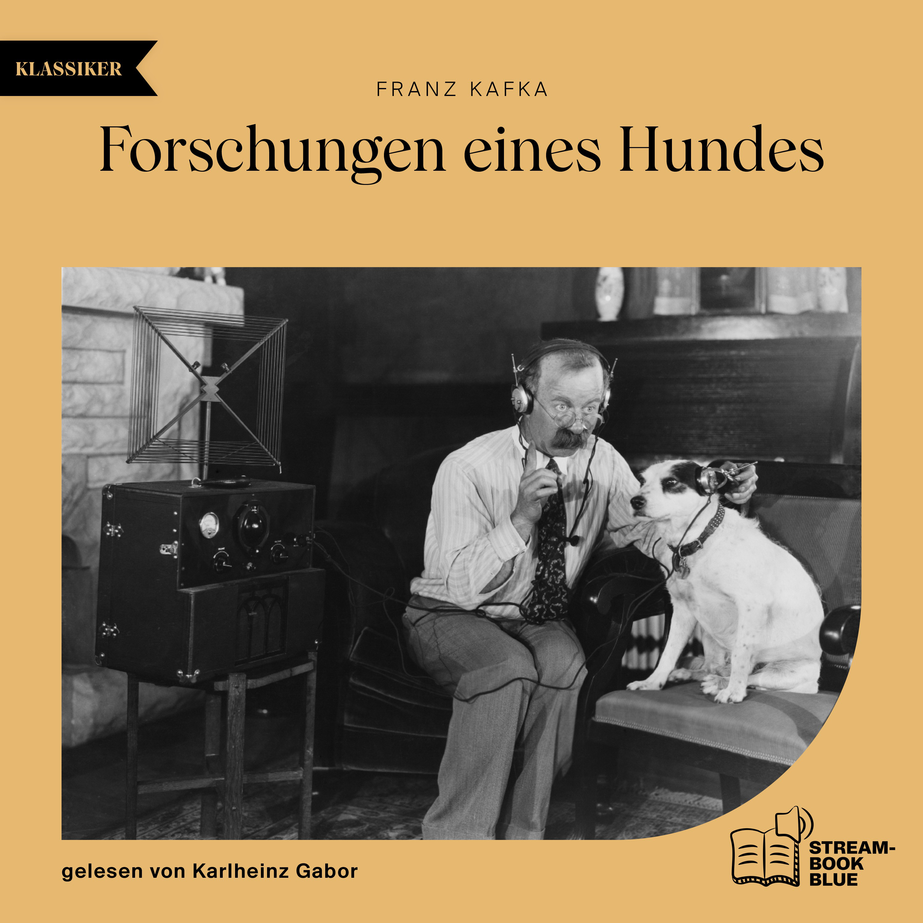 Forschungen eines Hundes