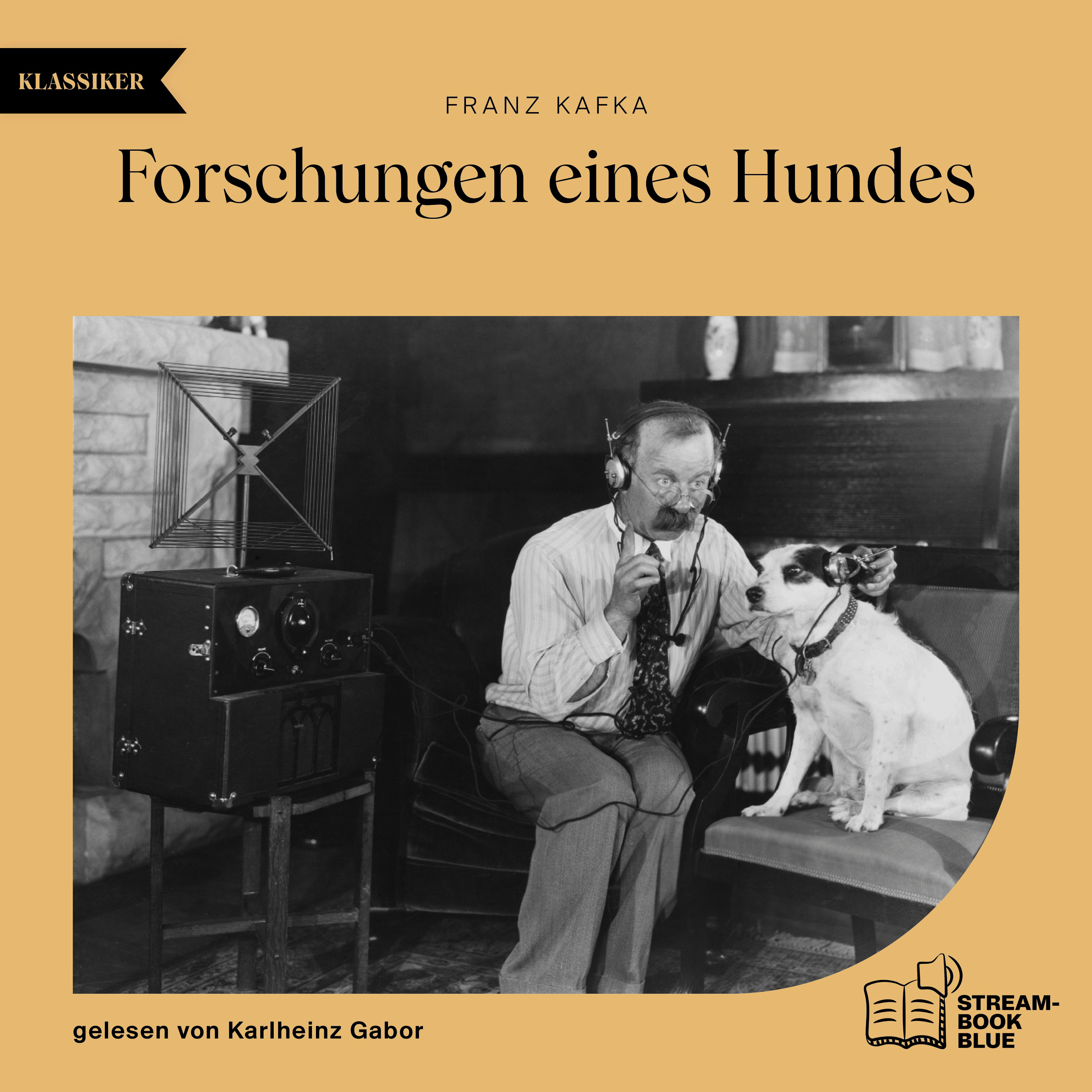 Forschungen eines Hundes