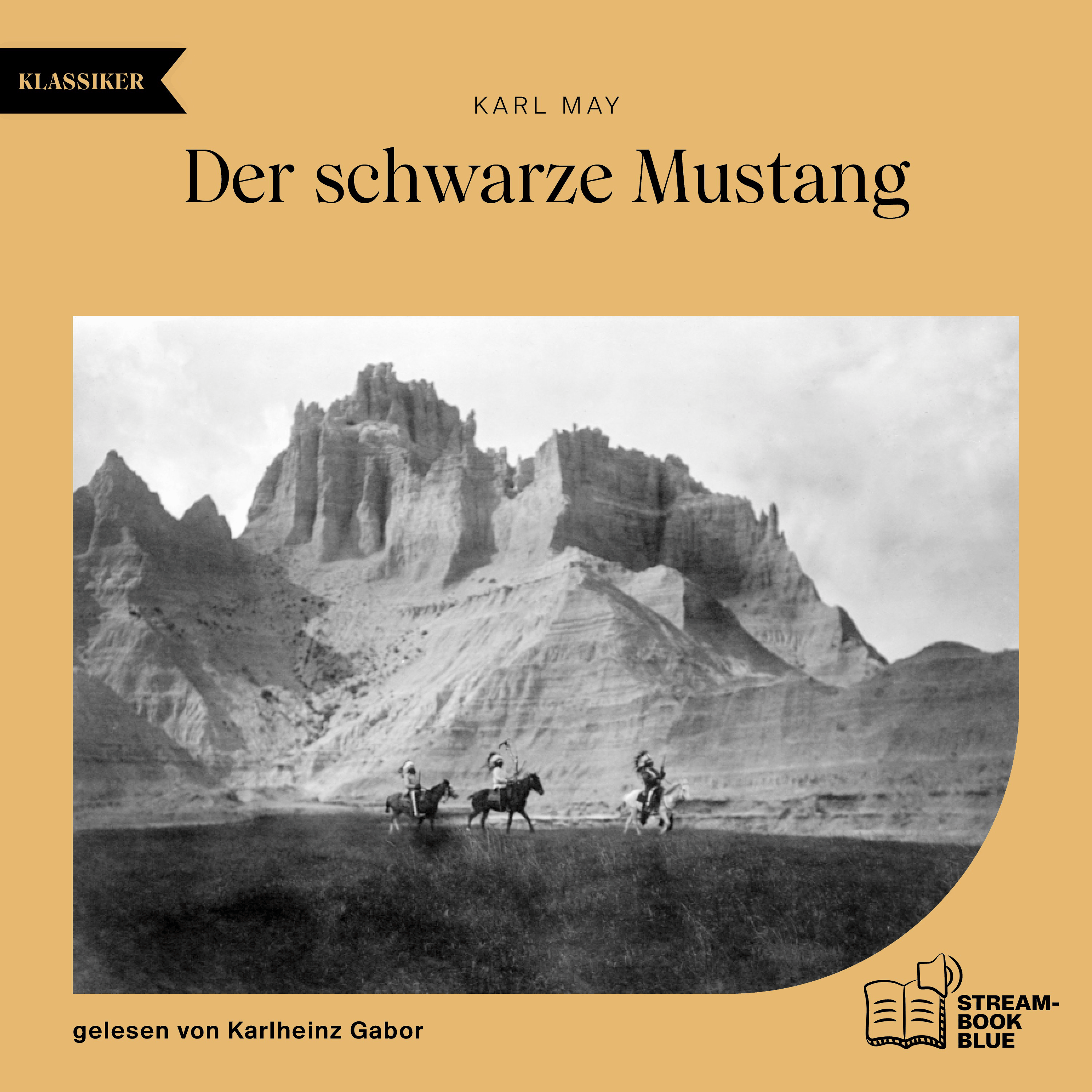 Der schwarze Mustang