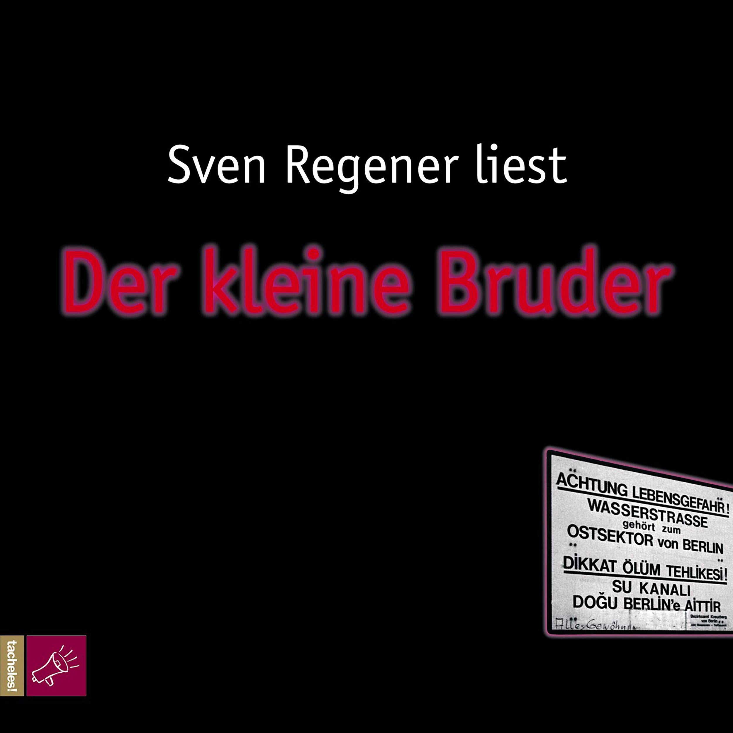 Der kleine Bruder - Der Herr Lehmann-Kosmos, Band 3