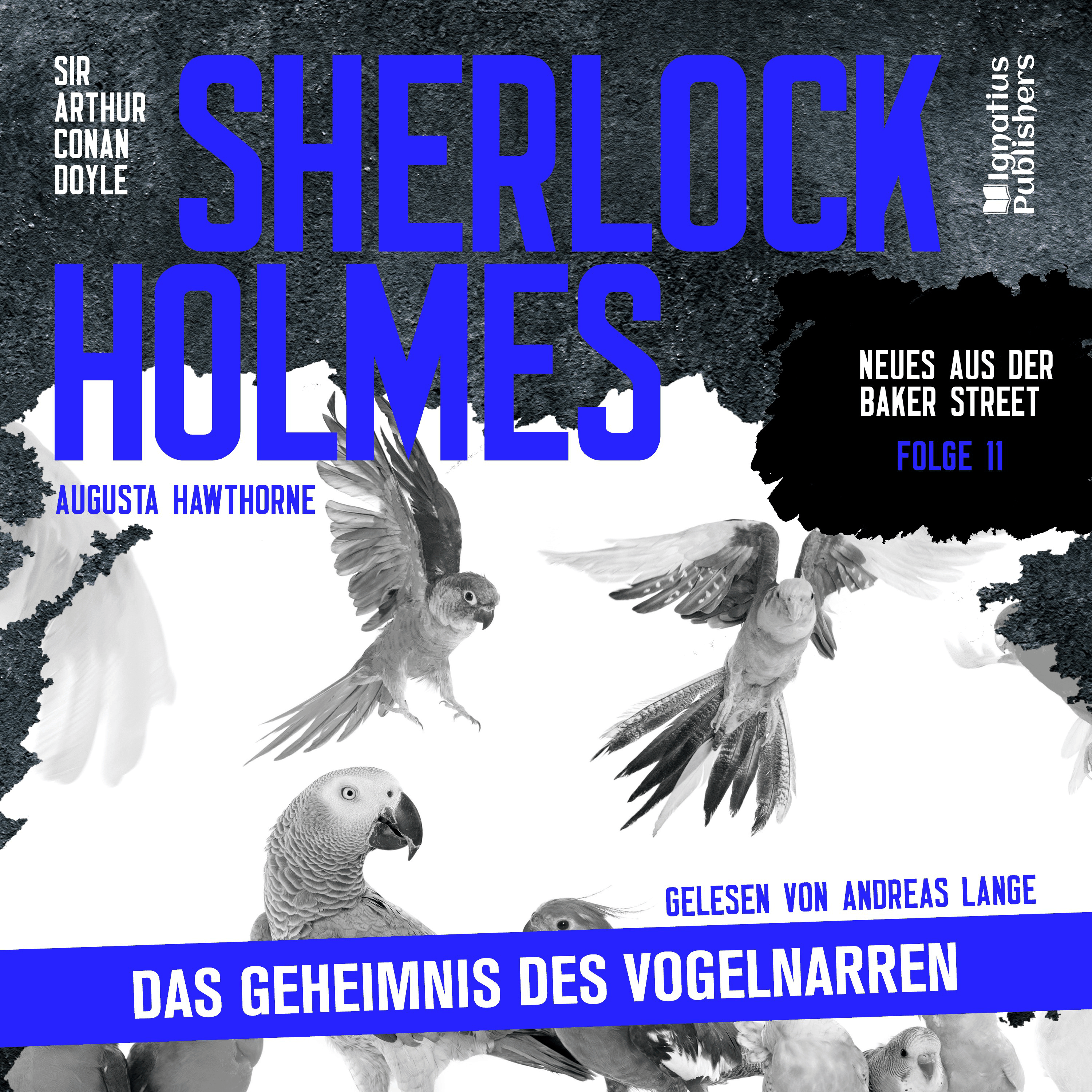 Sherlock Holmes: Das Geheimnis des Vogelnarren (Neues aus der Baker Street, Folge 11)