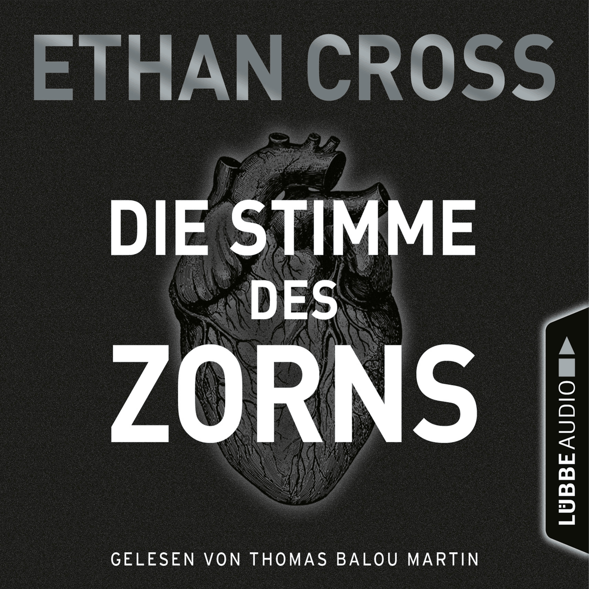 Die Stimme des Zorns - Die Ackermann & Shirazi-Reihe 1