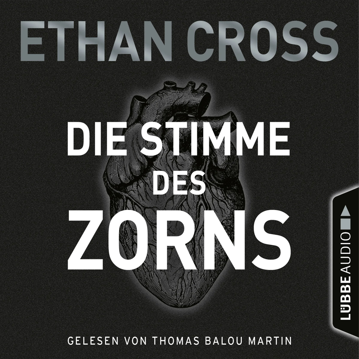 Die Stimme des Zorns - Die Ackermann & Shirazi-Reihe 1