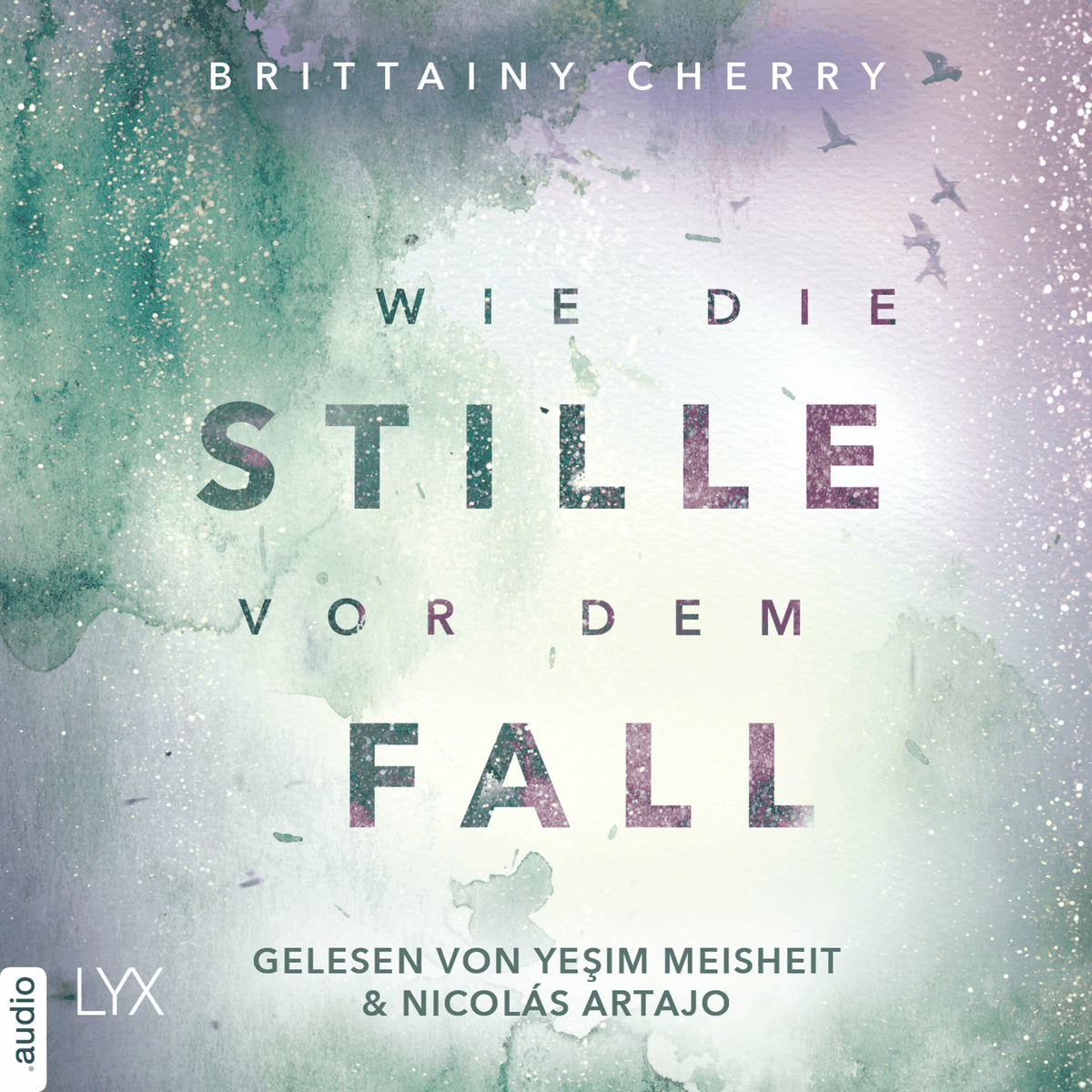Wie die Stille vor dem Fall. Zweites Buch - Chance-Reihe, Band 2.2