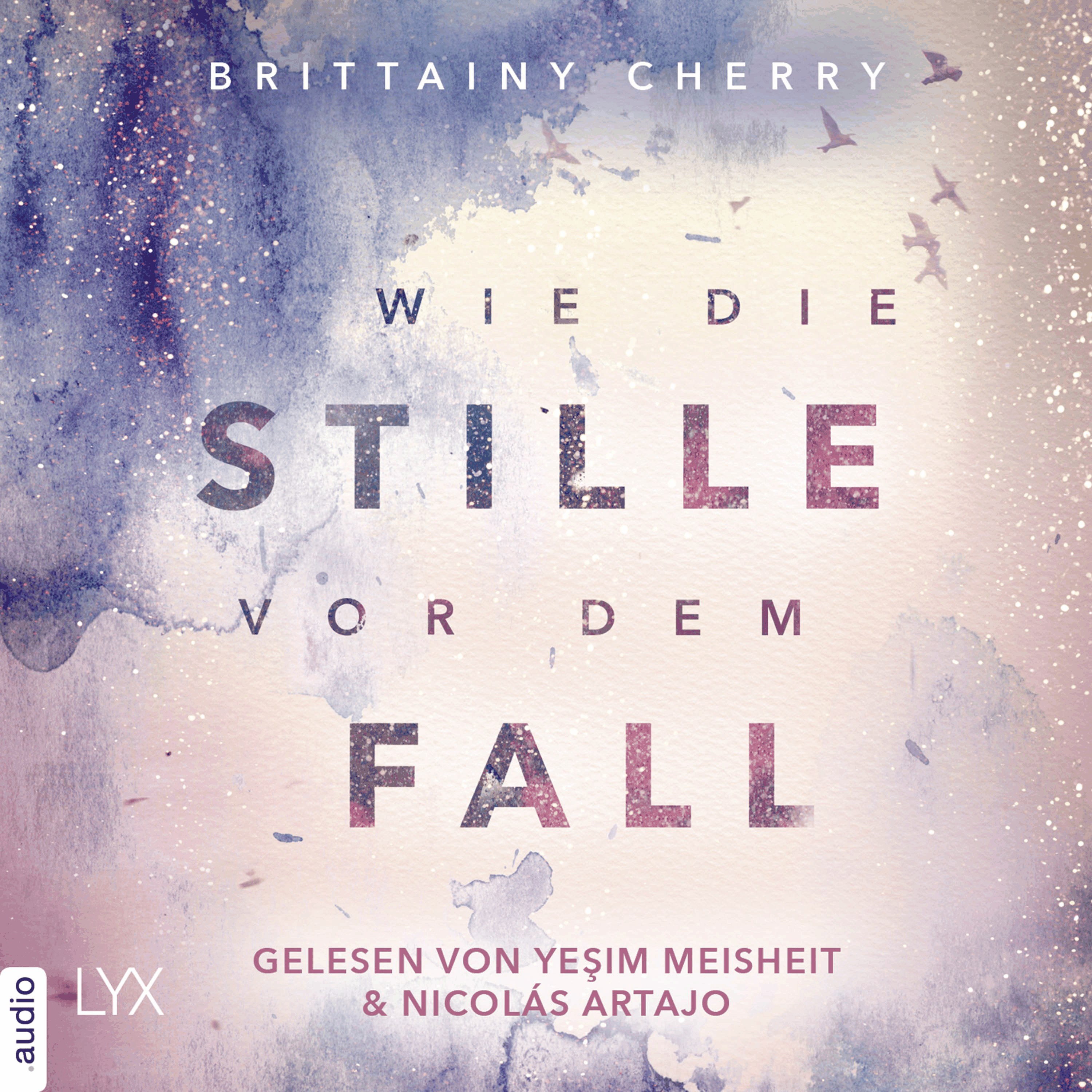 Wie die Stille vor dem Fall. Erstes Buch - Chance-Reihe, Band 2.1