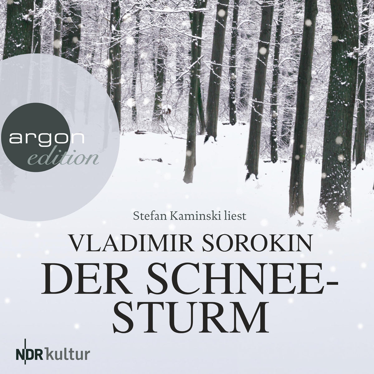 Der Schneesturm (Ungekürzte Lesung)